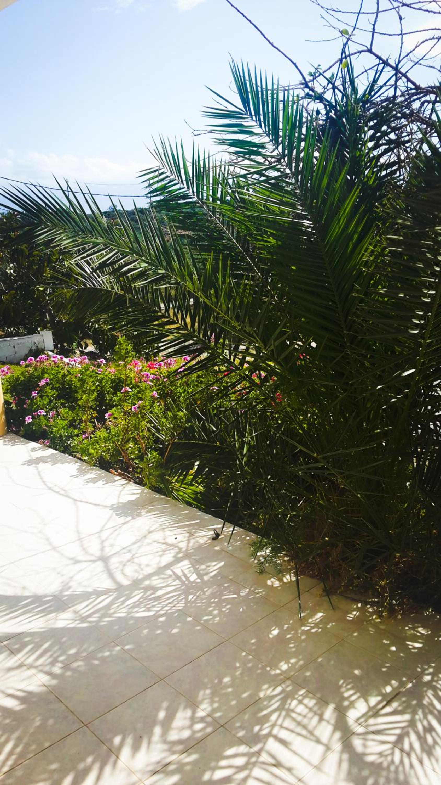 Apartment with Garden View photo 2
