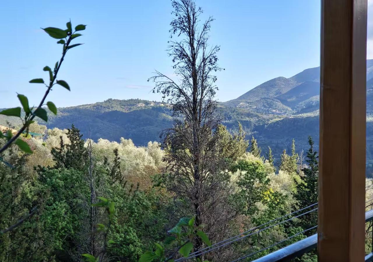 Studio with Mountain View photo 2