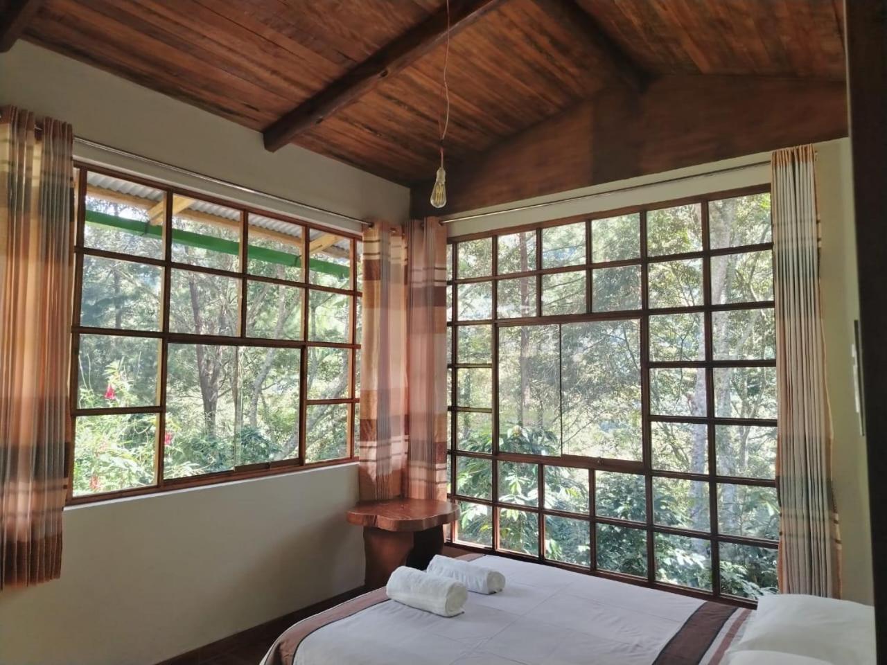 Double Room with Mountain View photo 3