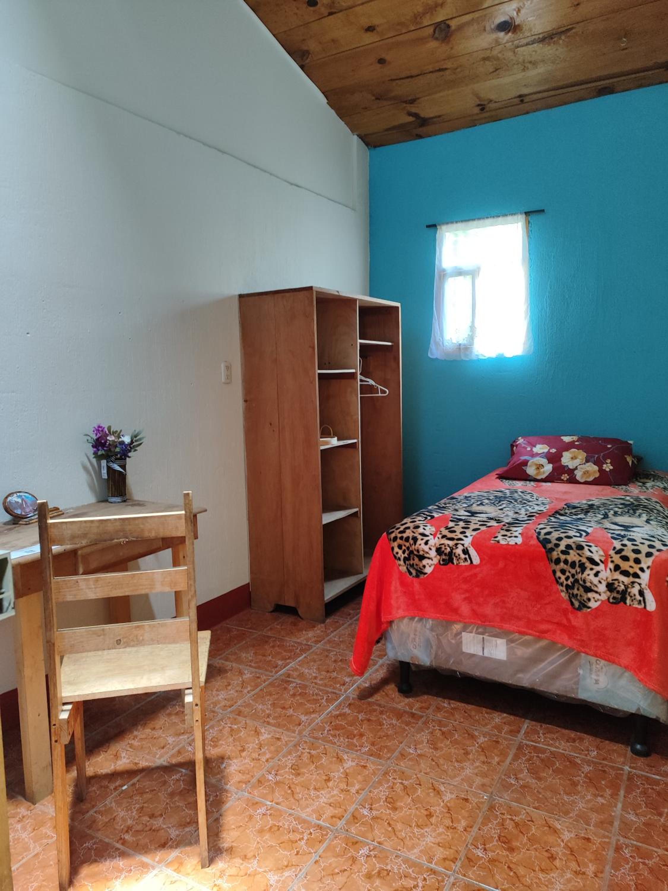 Single Room photo 2