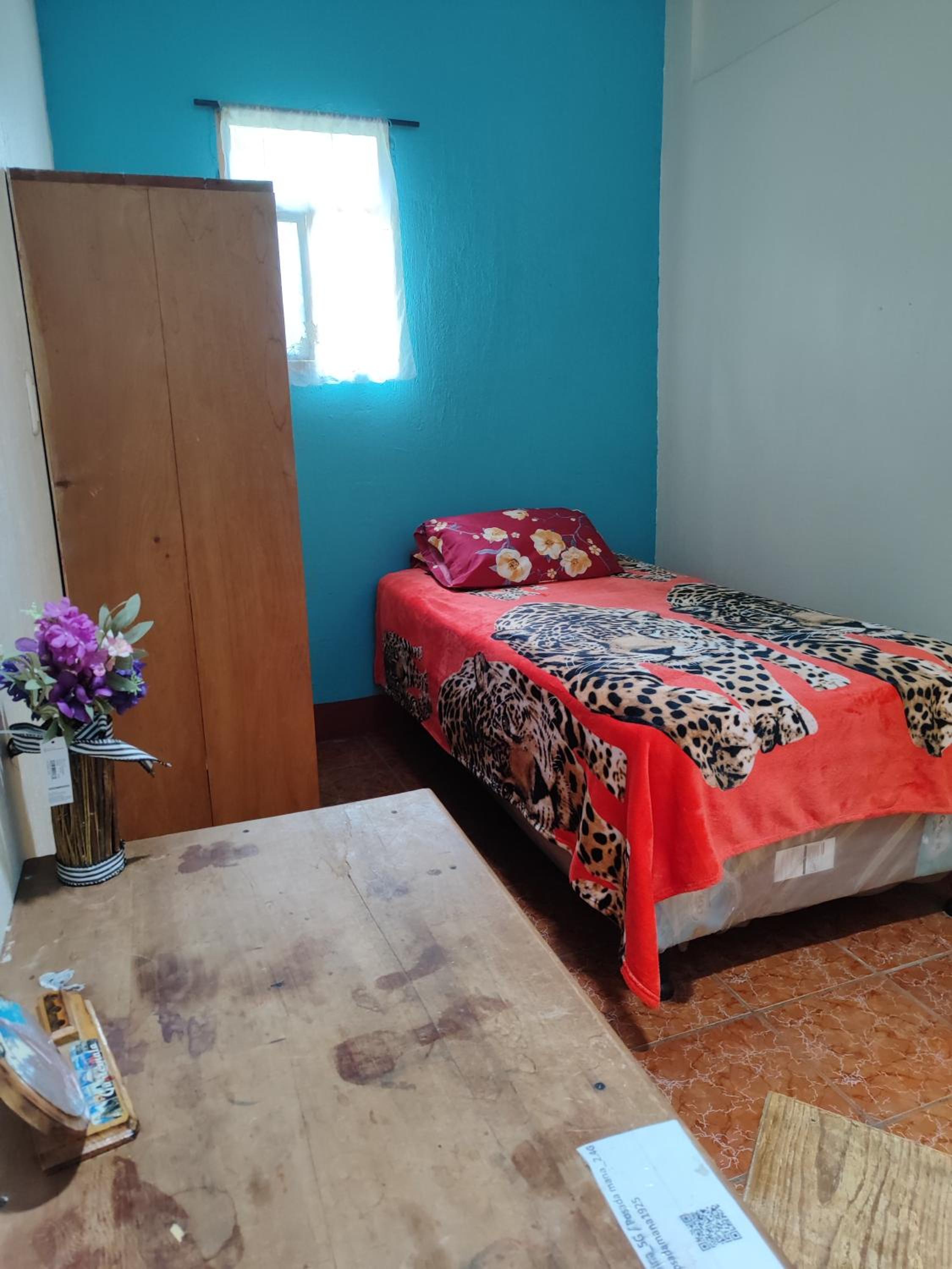Single Room photo 3