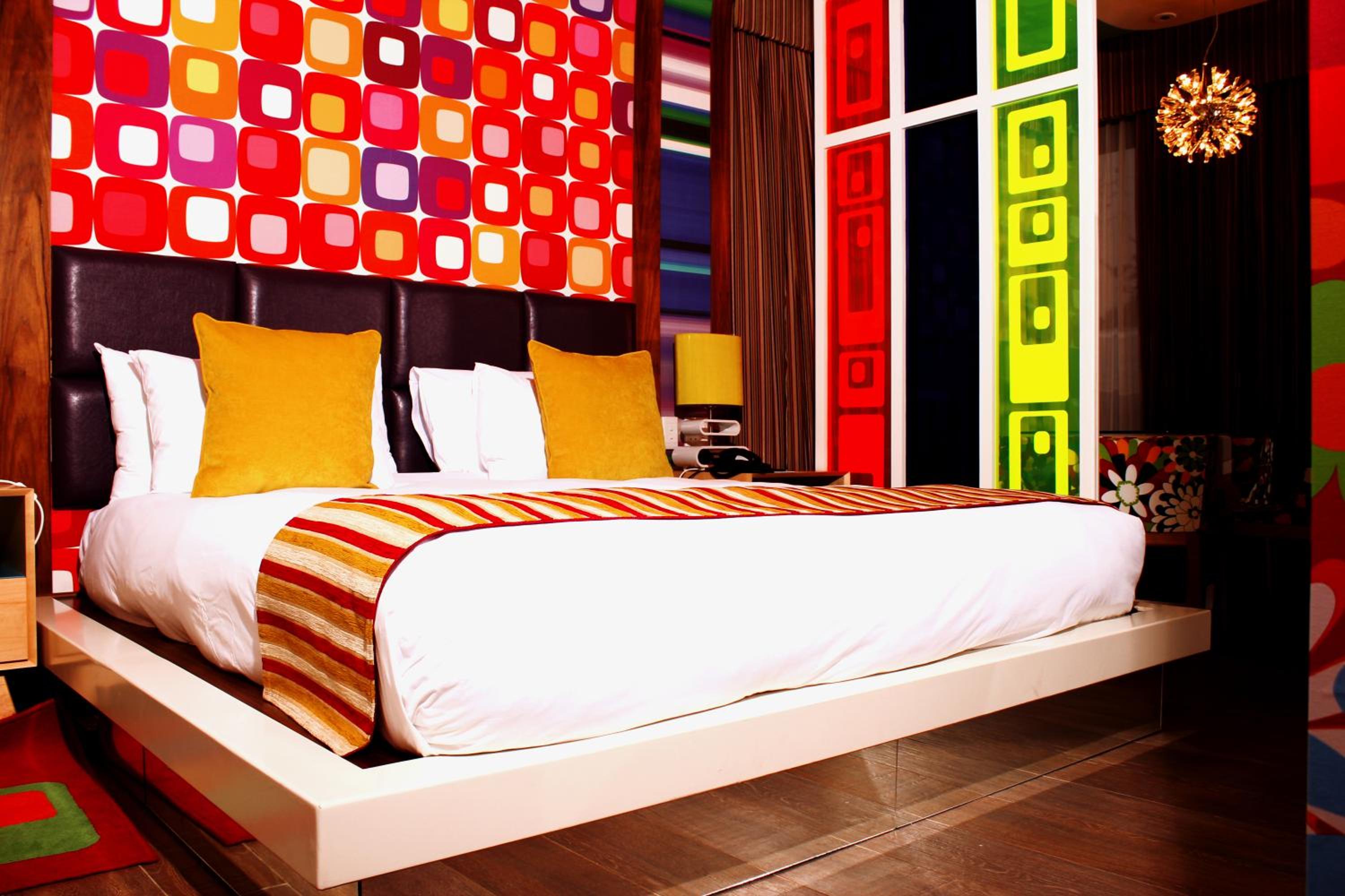 Suite - Photo 1
