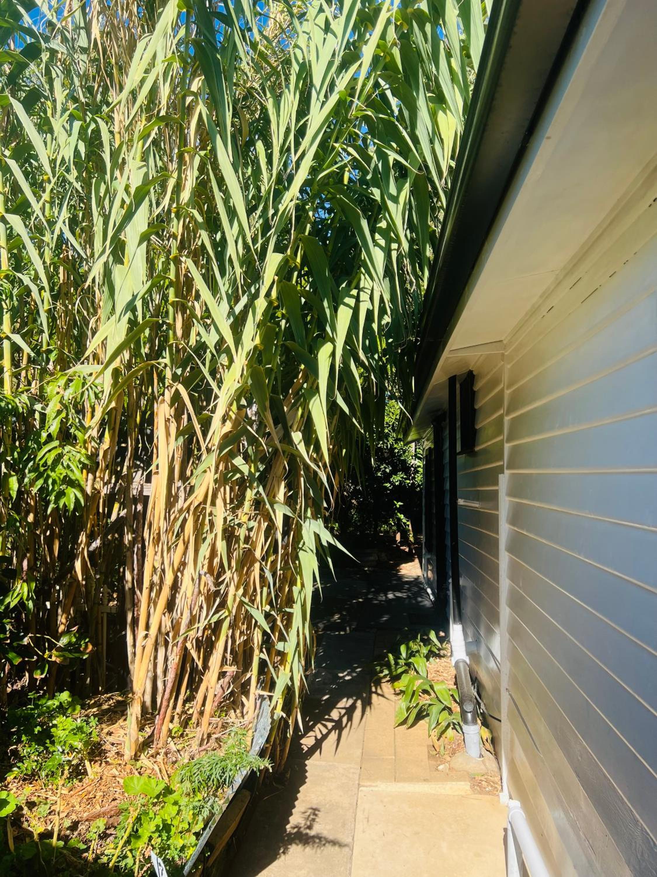 One-Bedroom Bungalow photo 3