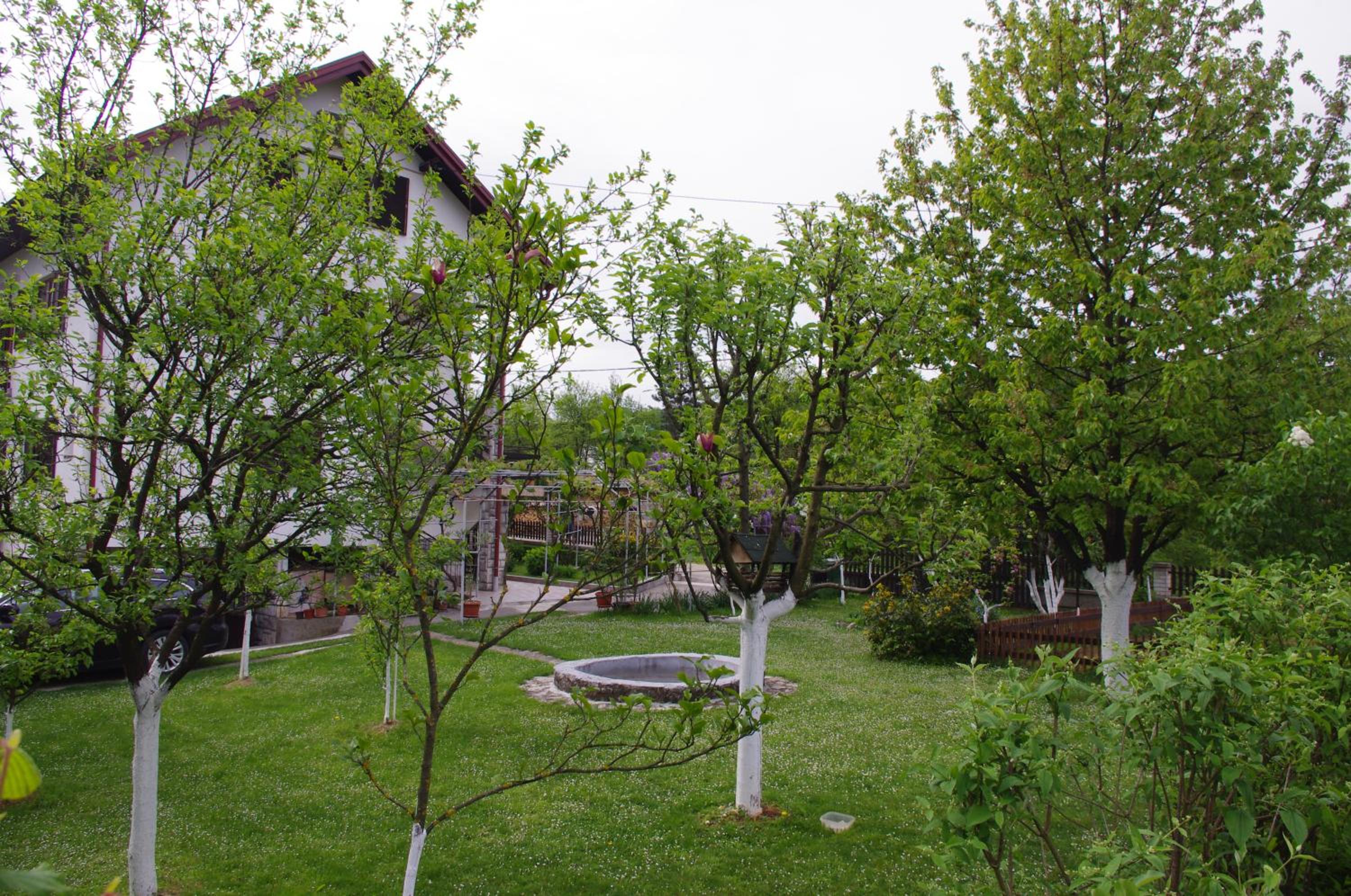 Apartment with Balcony - Photo 15