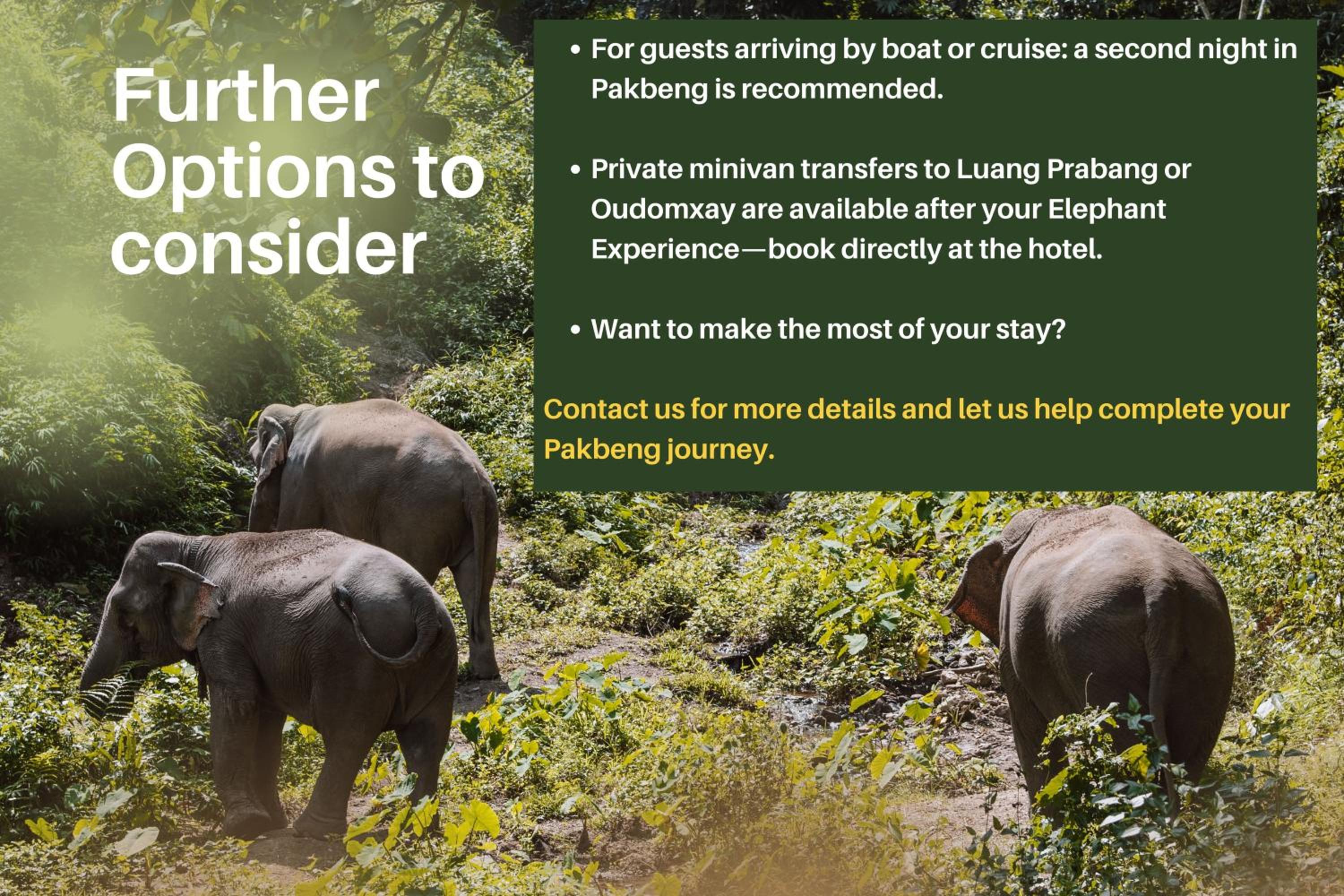 Double or Twin Room with Mekong Elephant Experience Tour