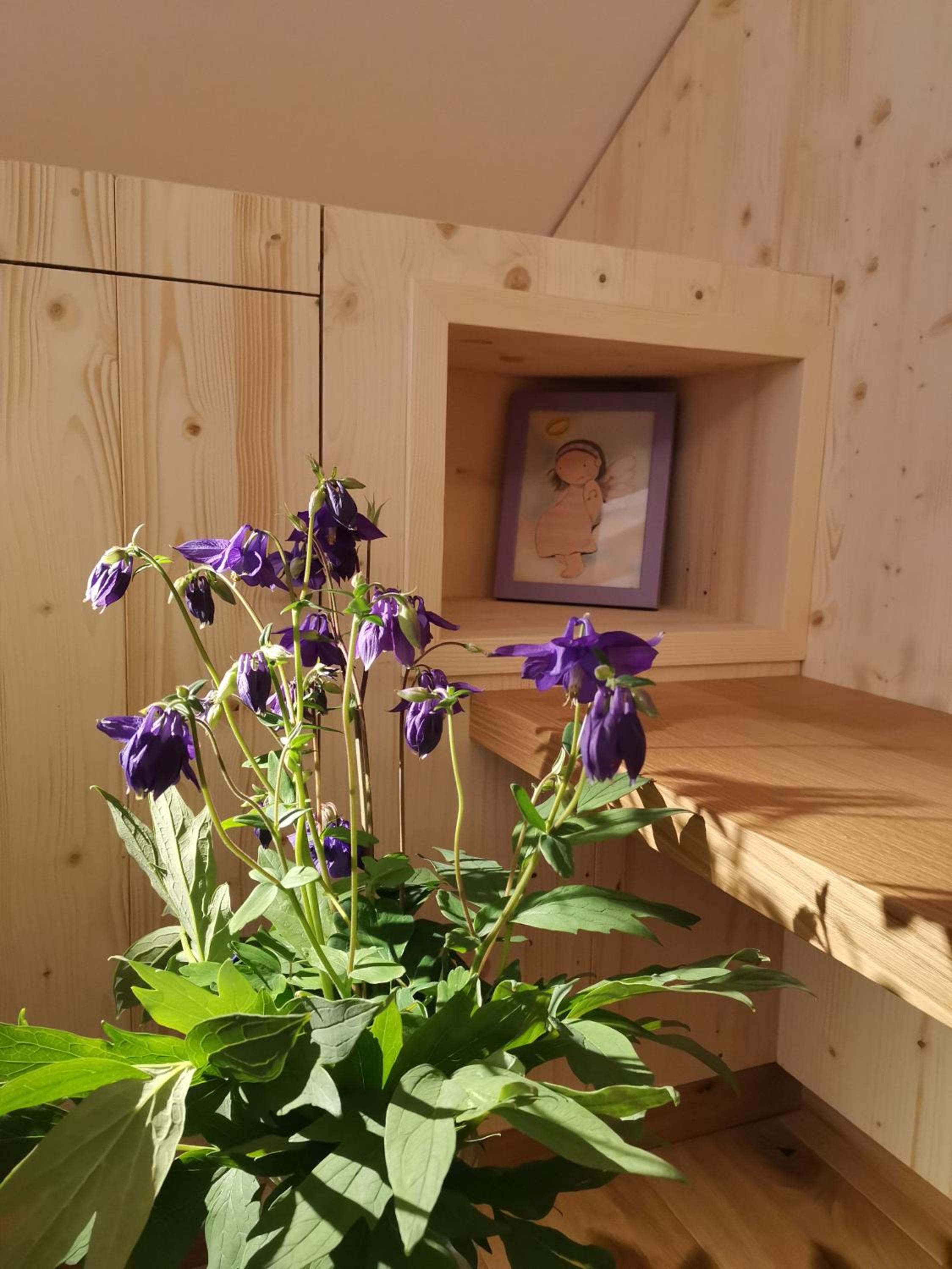 One-Bedroom Apartment with View