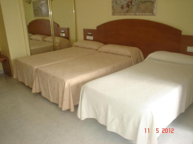 Habitación Triple (3 Adultos)