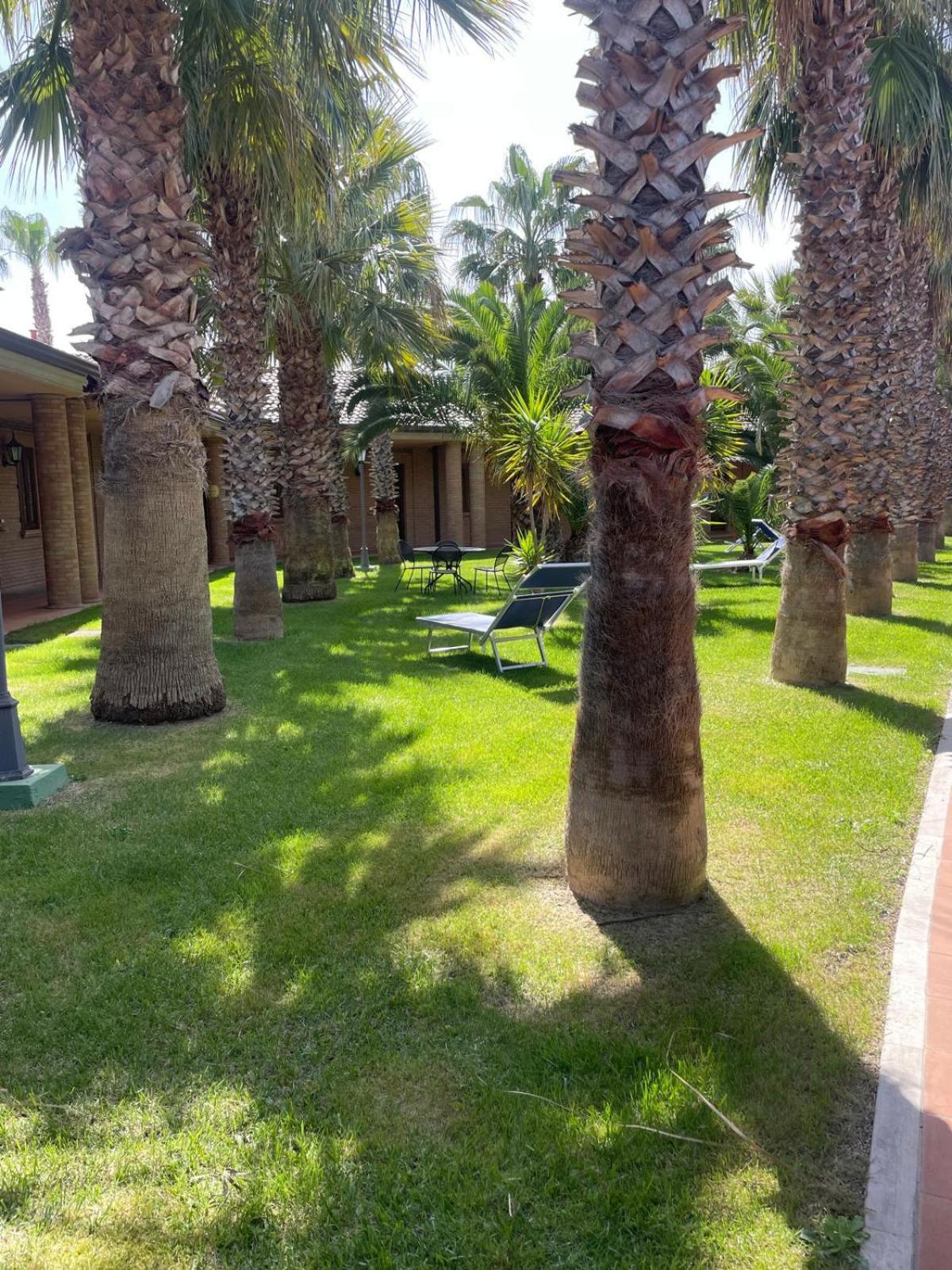 Suite - Photo 5