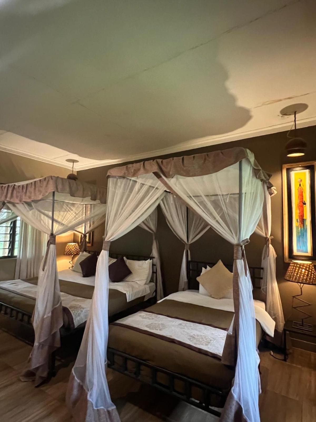 Deluxe Double or Twin Room photo 2