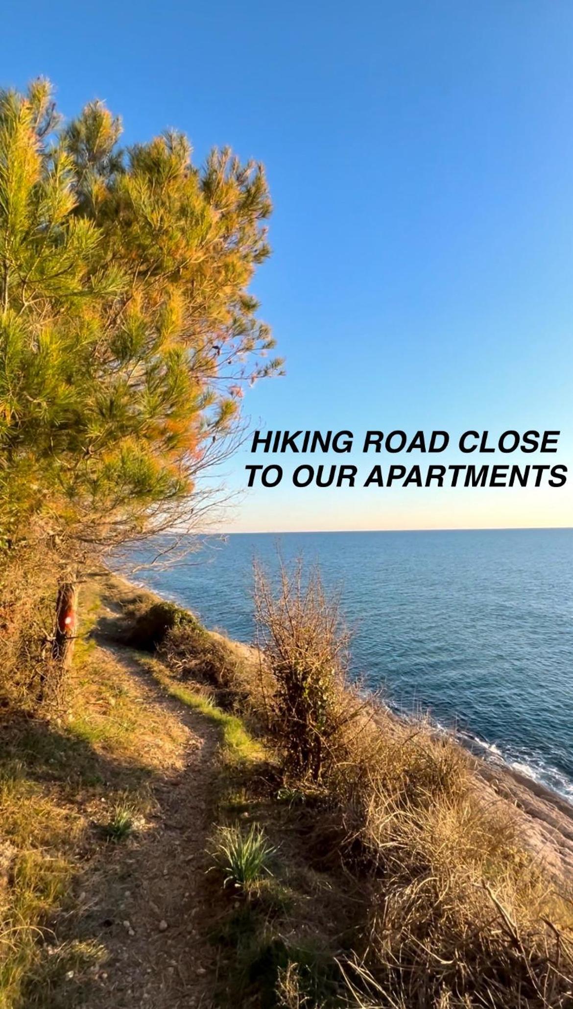 One-Bedroom Apartment with Sea View and Balcony photo 3