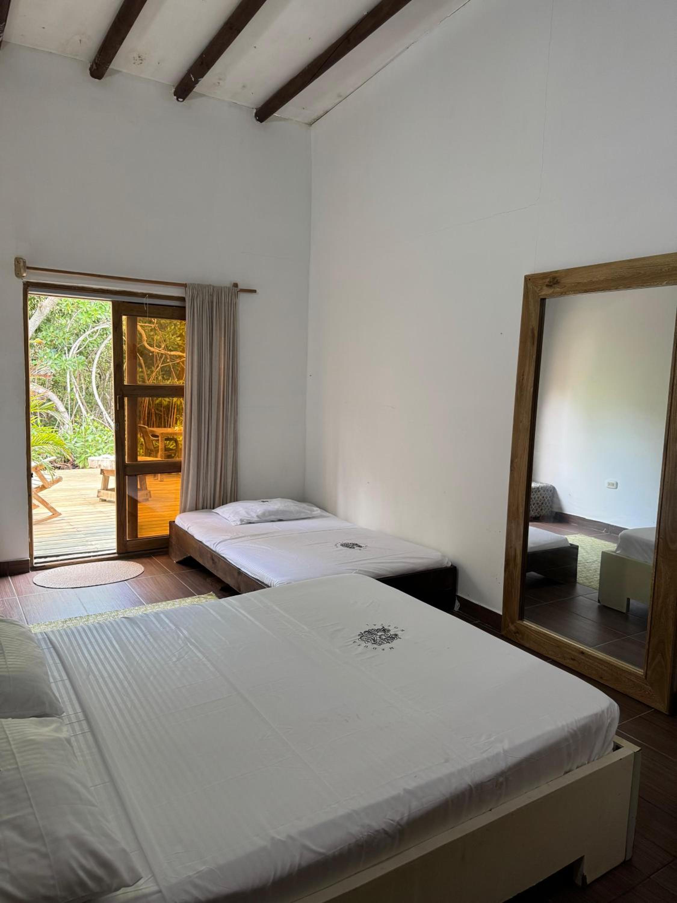 Single Bed in Mixed Dormitory Room photo 1