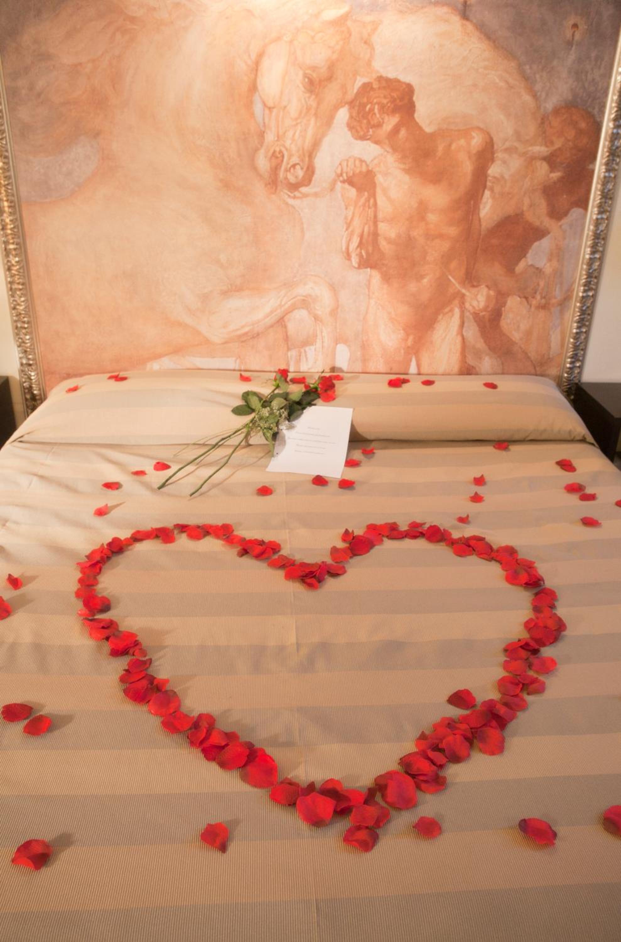 Superior Double Room photo 1