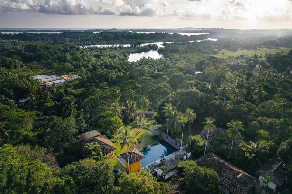 Jungle Pool Villa - Jambu