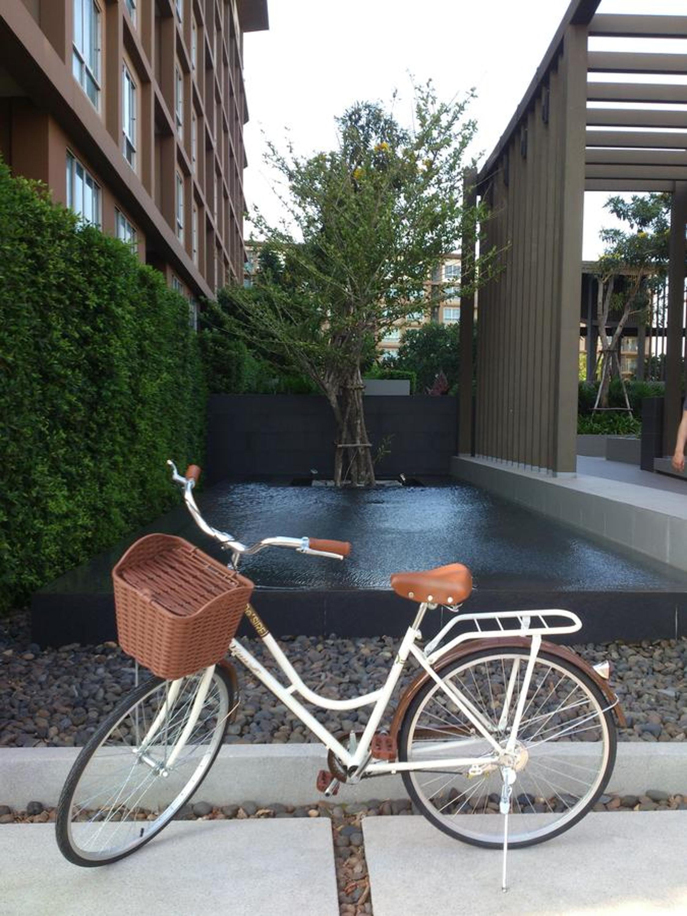 Apartment - Photo 9