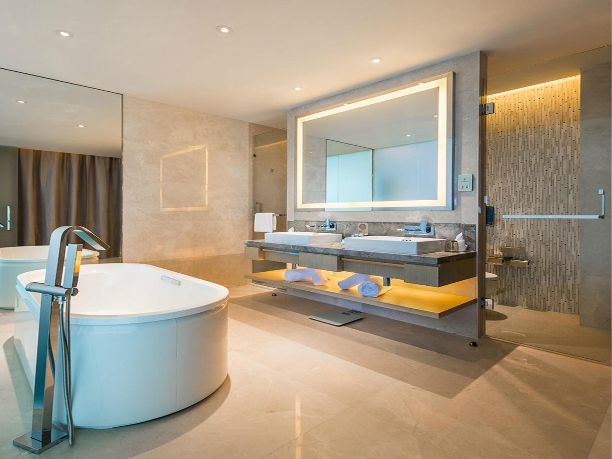 Deluxe King Suite