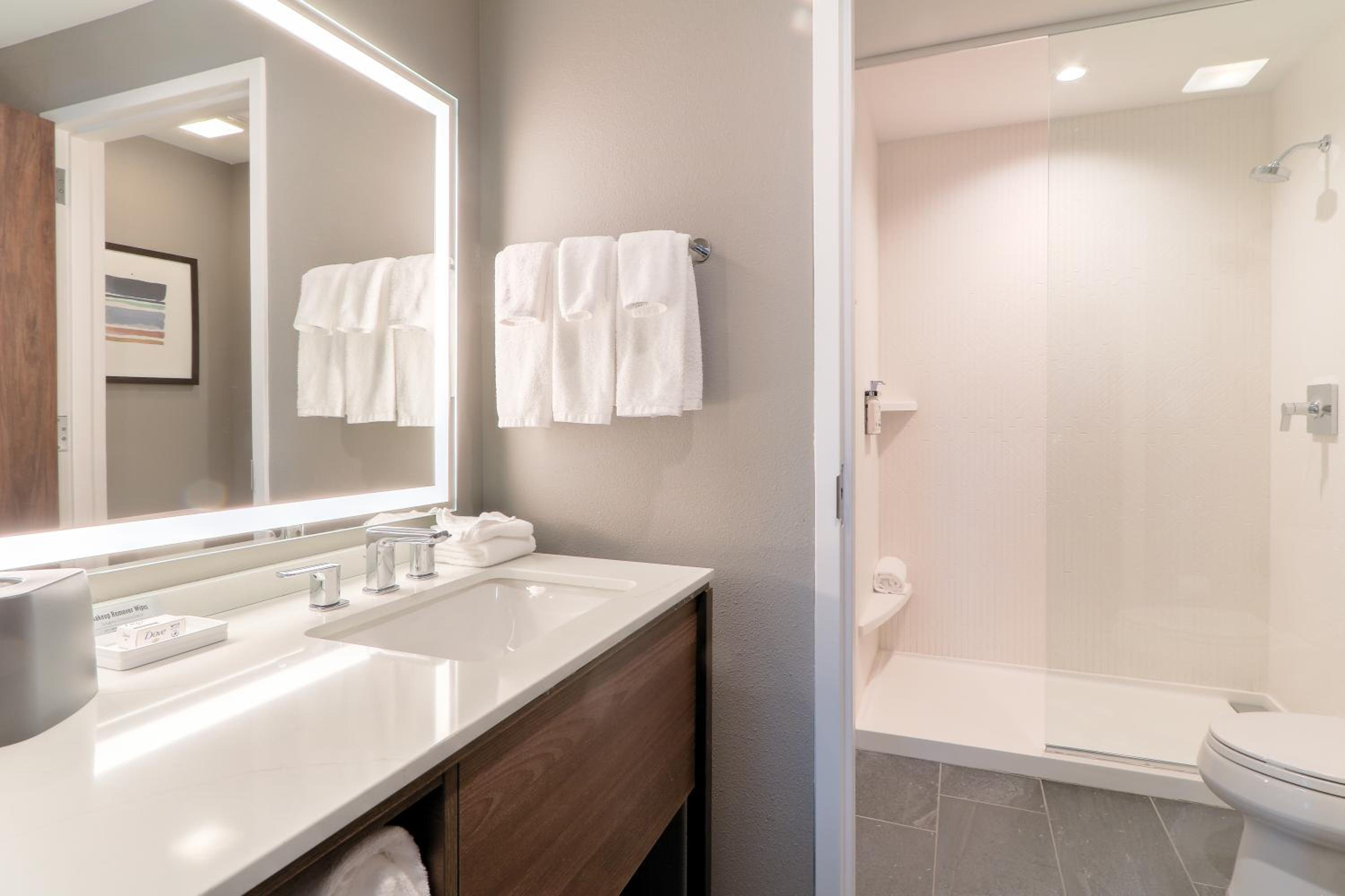 Premium Suite - Photo 3