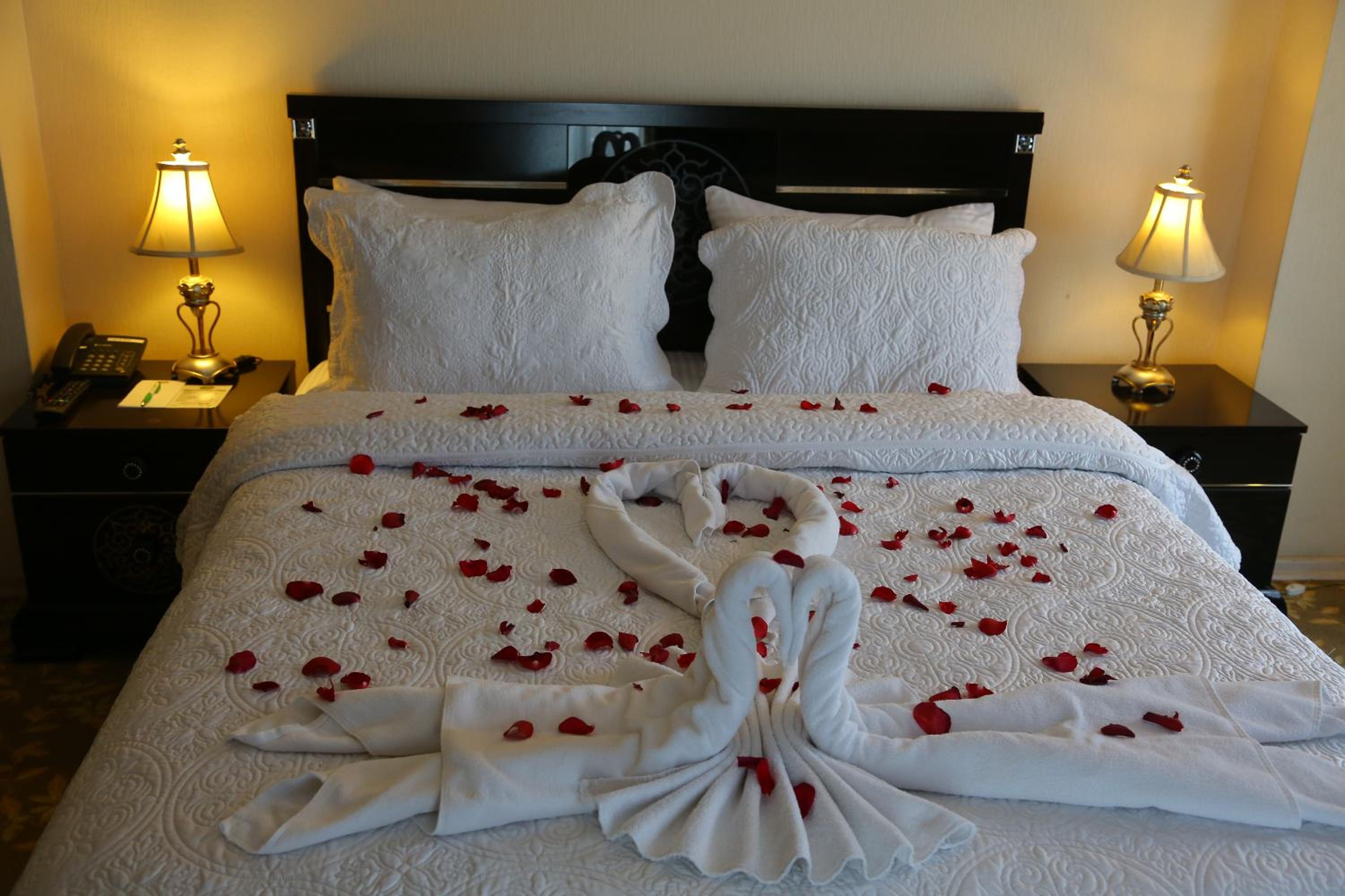 Suite - Photo 14