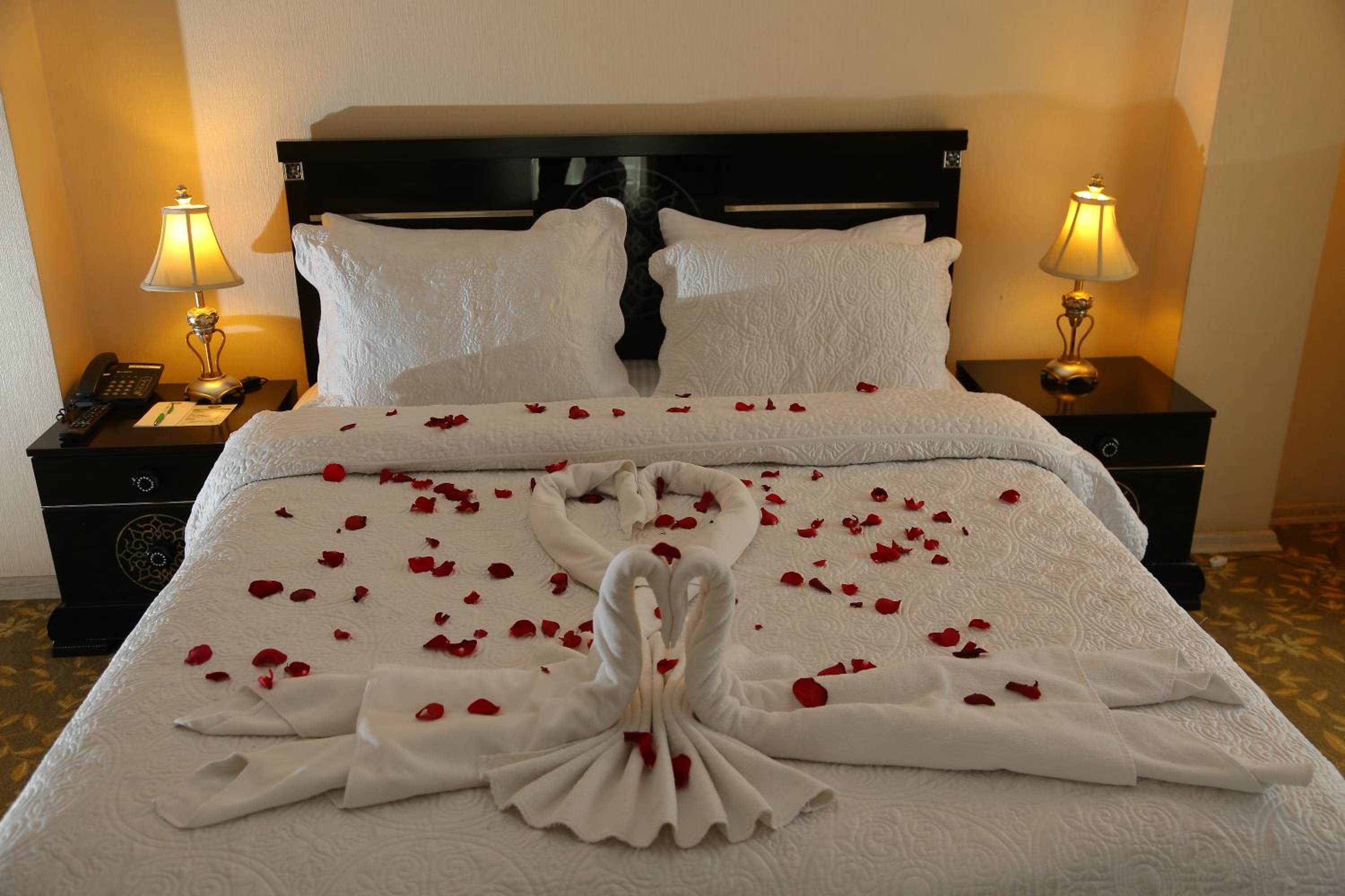 Suite - Photo 10