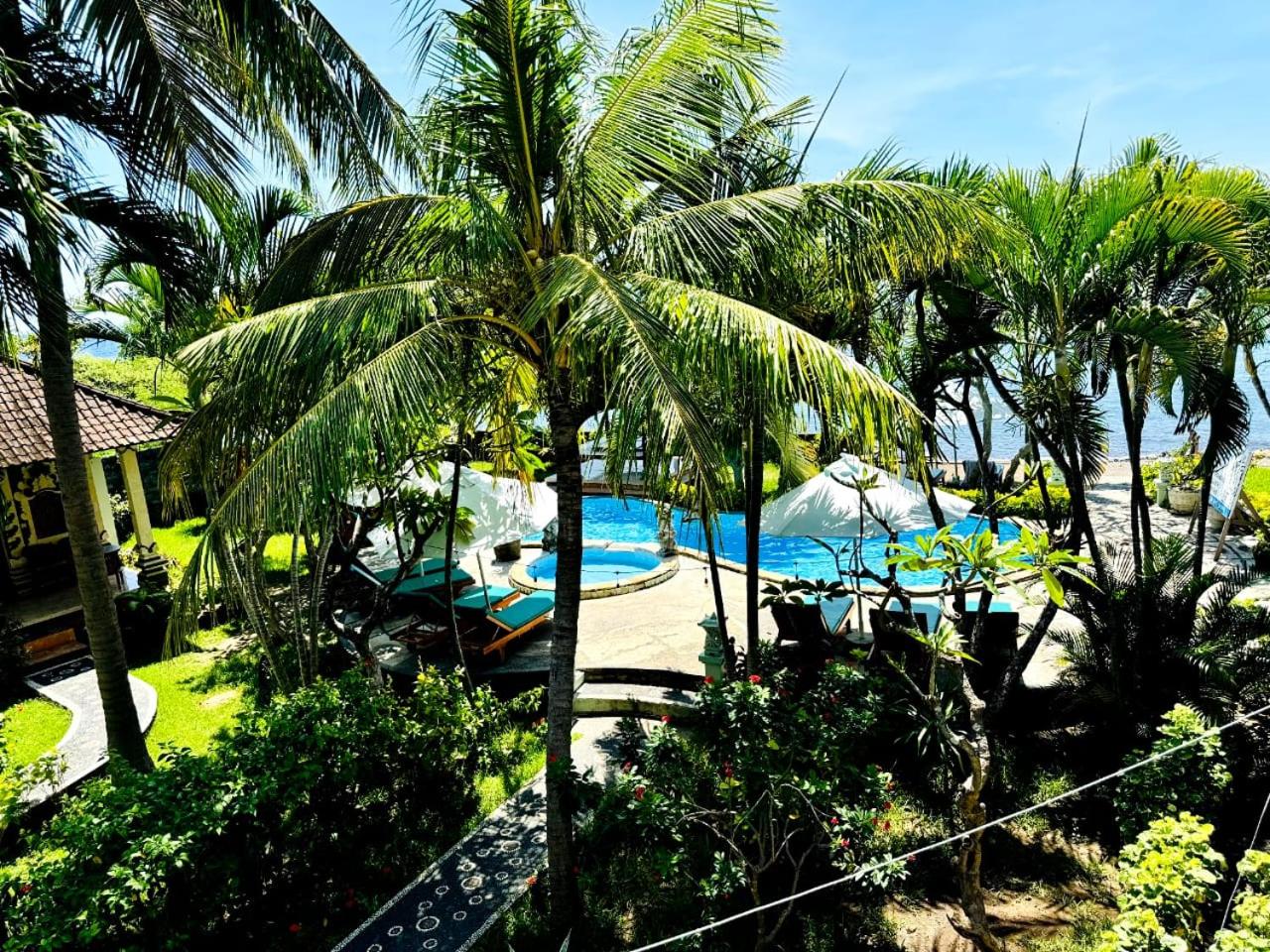 Suite with Garden View photo 3