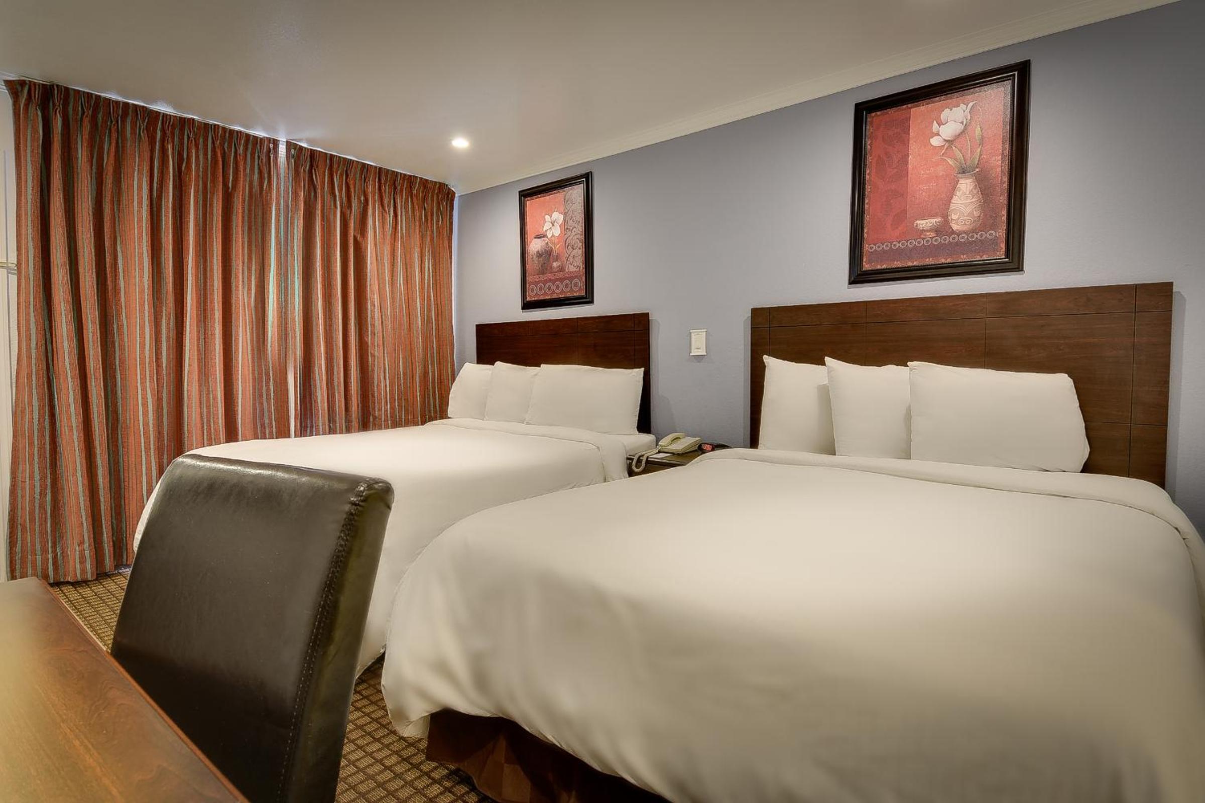Premium Two Queen Room Non-Smoking photo 1