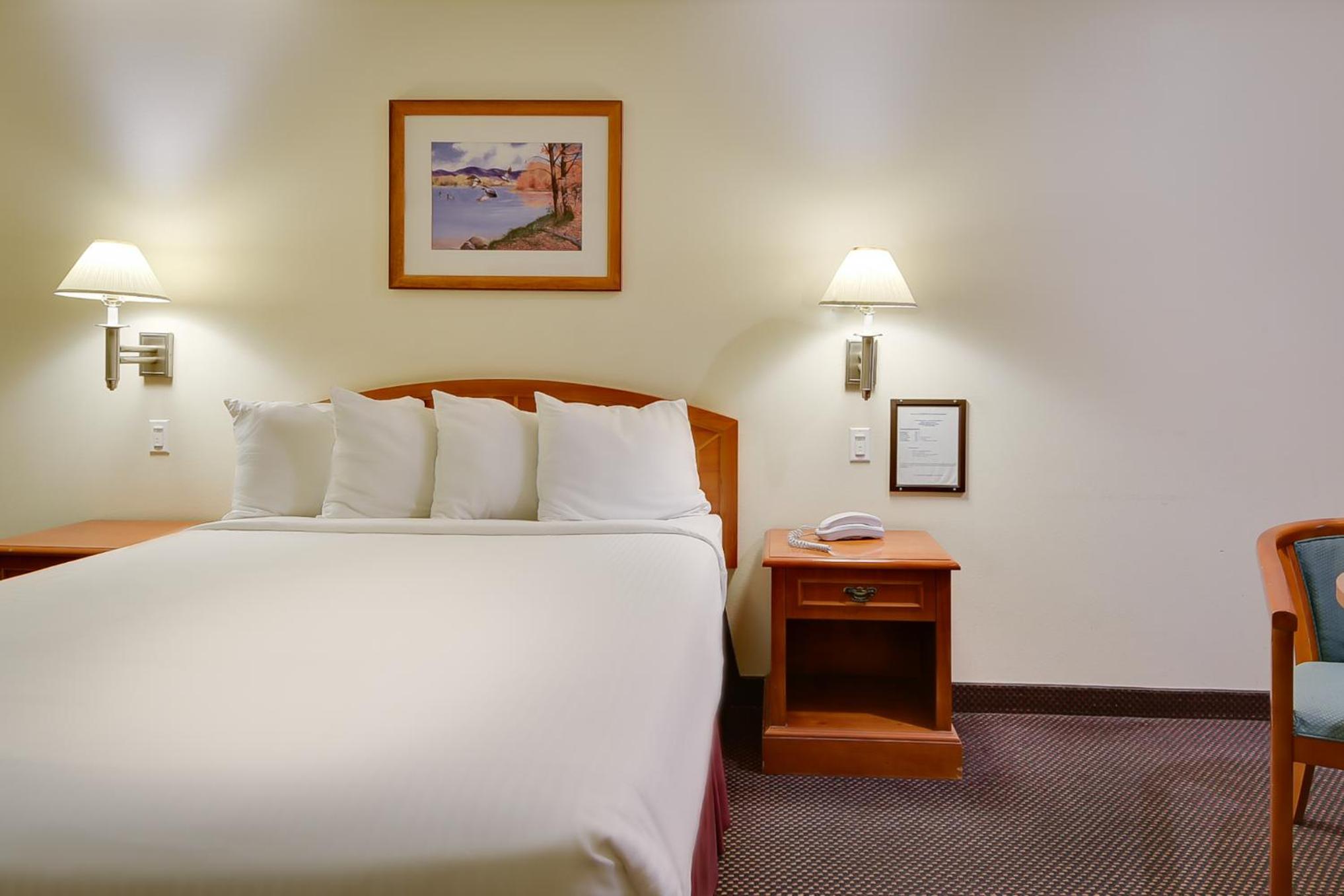 King Room photo 1