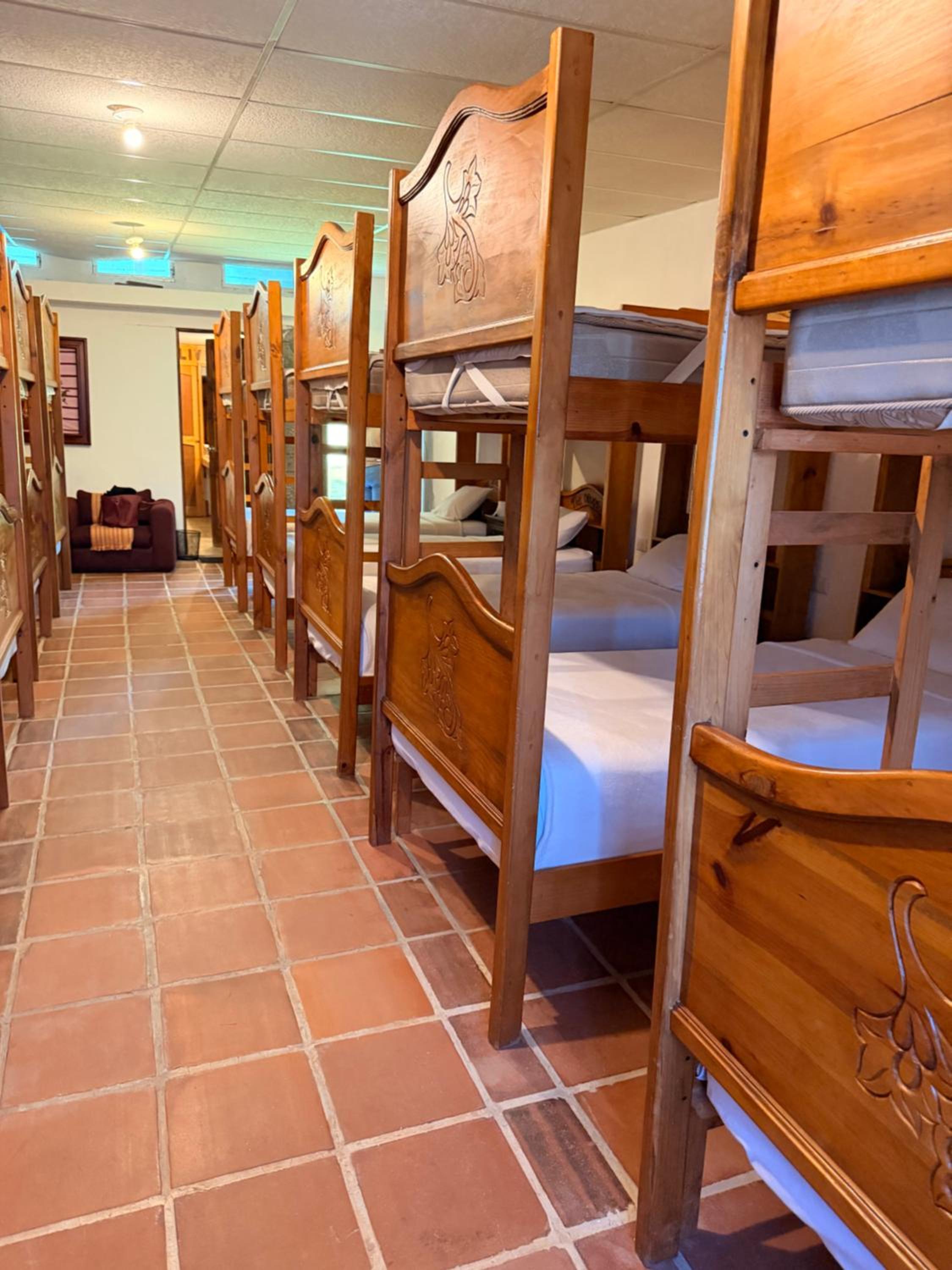 Bunk Bed in Mixed Dormitory Room photo 2