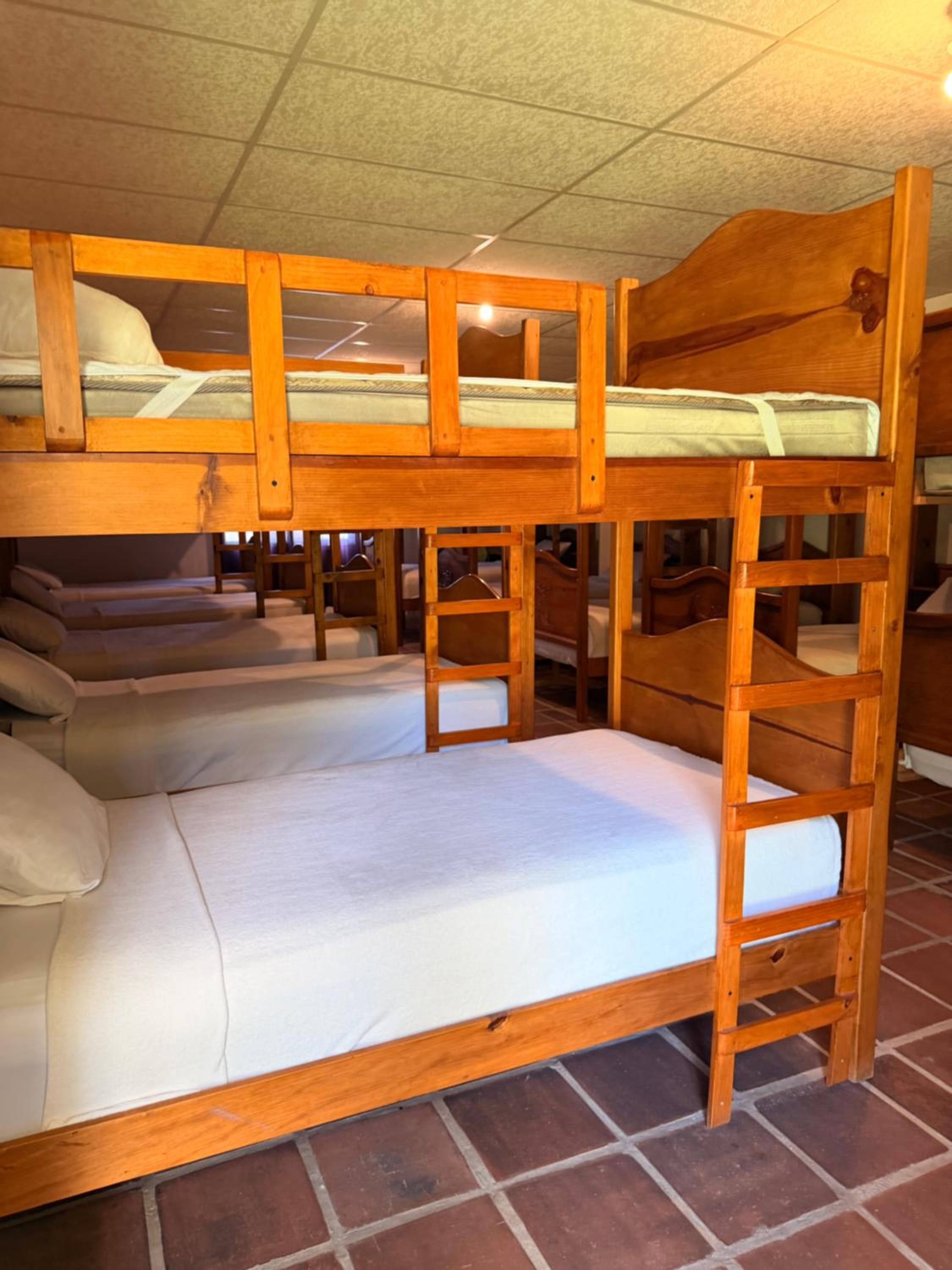 Bunk Bed in Mixed Dormitory Room photo 1