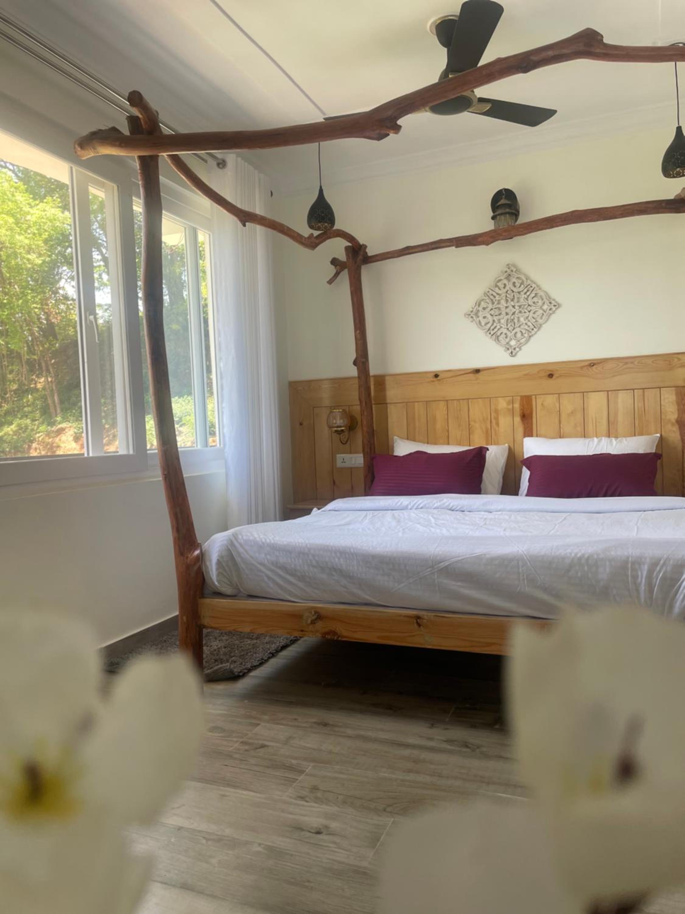 Superior Single Room photo 1