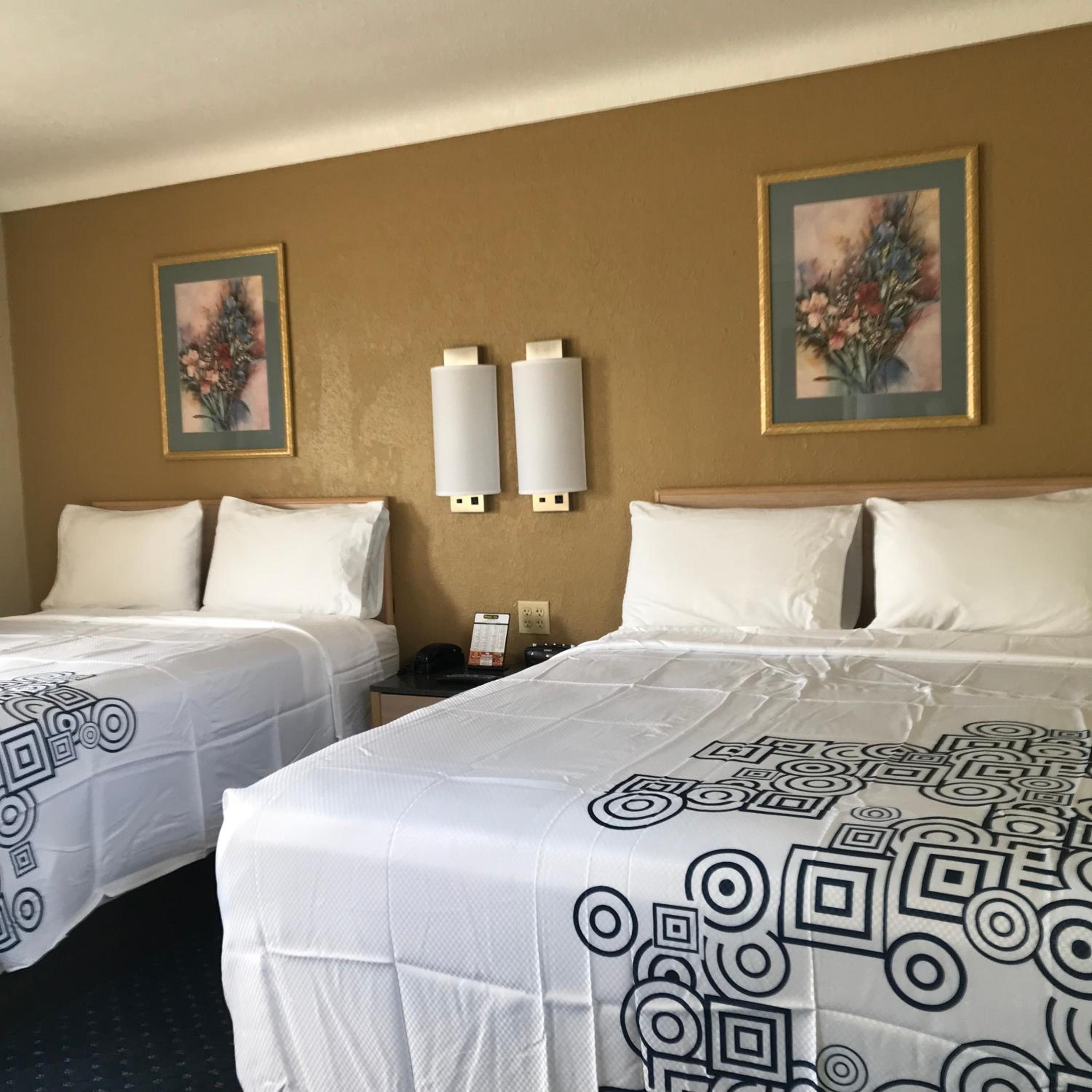 Standard Single Room photo 3
