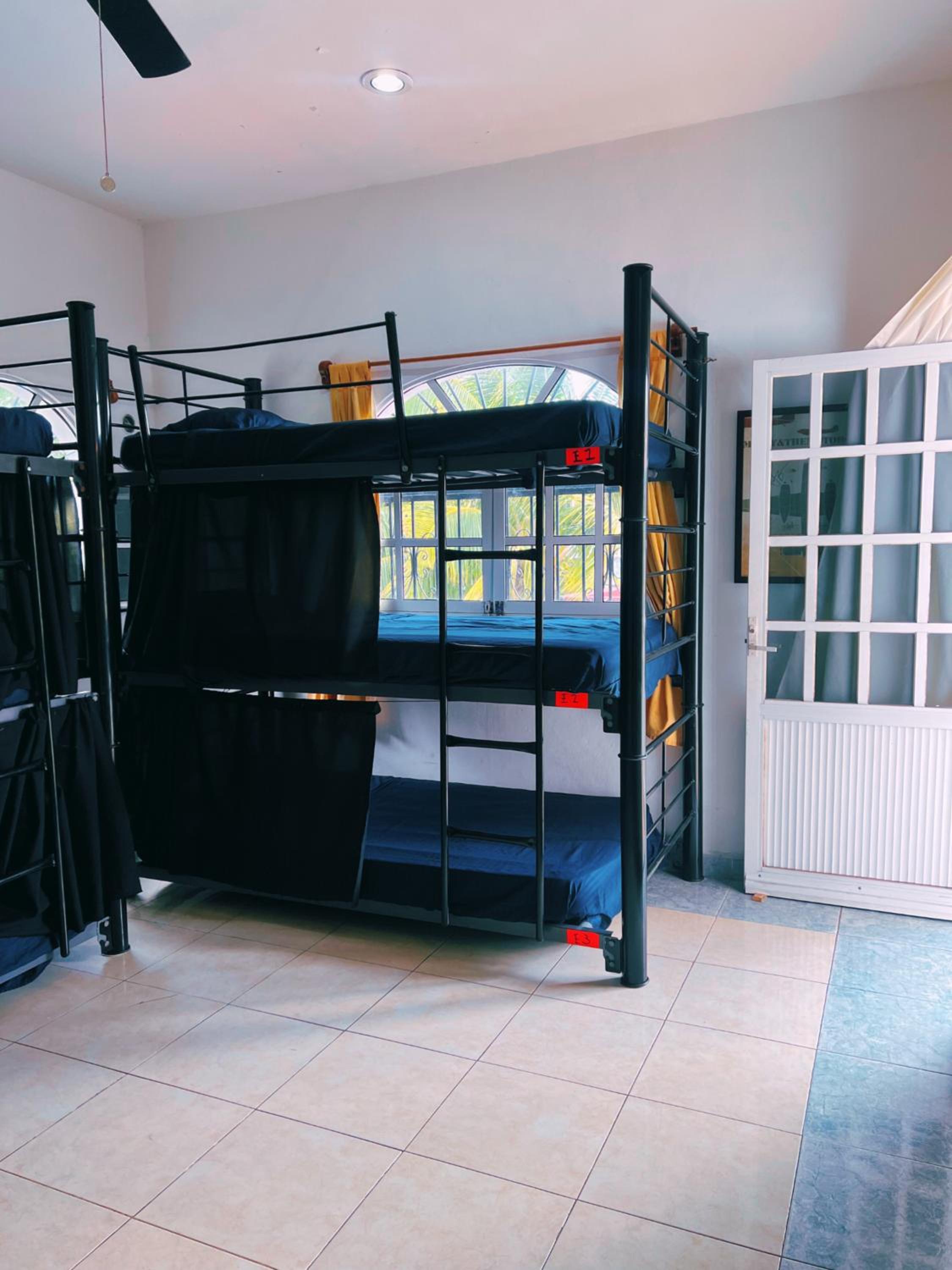 Single Bed in Mixed Dormitory Room photo 2