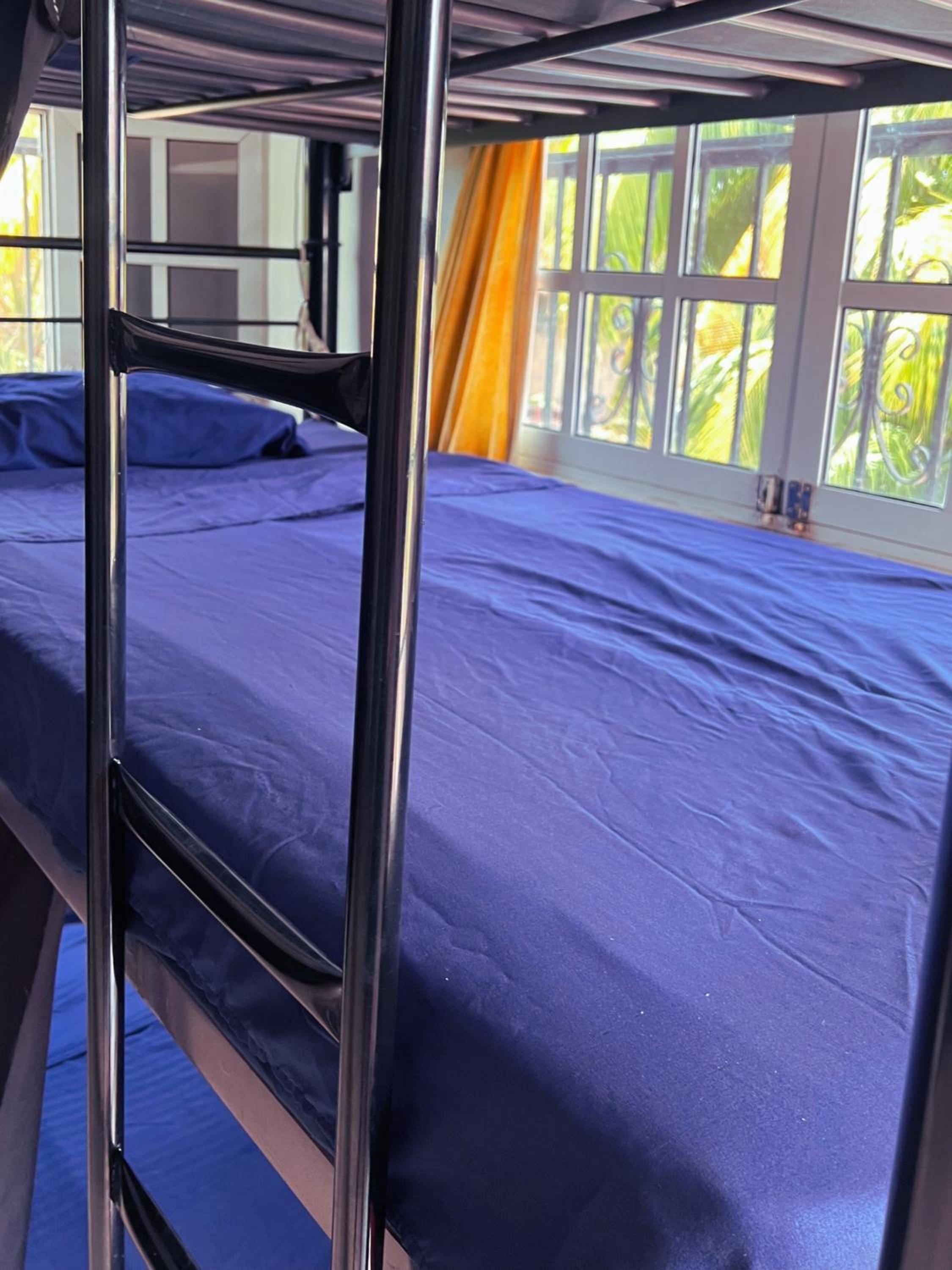Single Bed in Mixed Dormitory Room photo 1