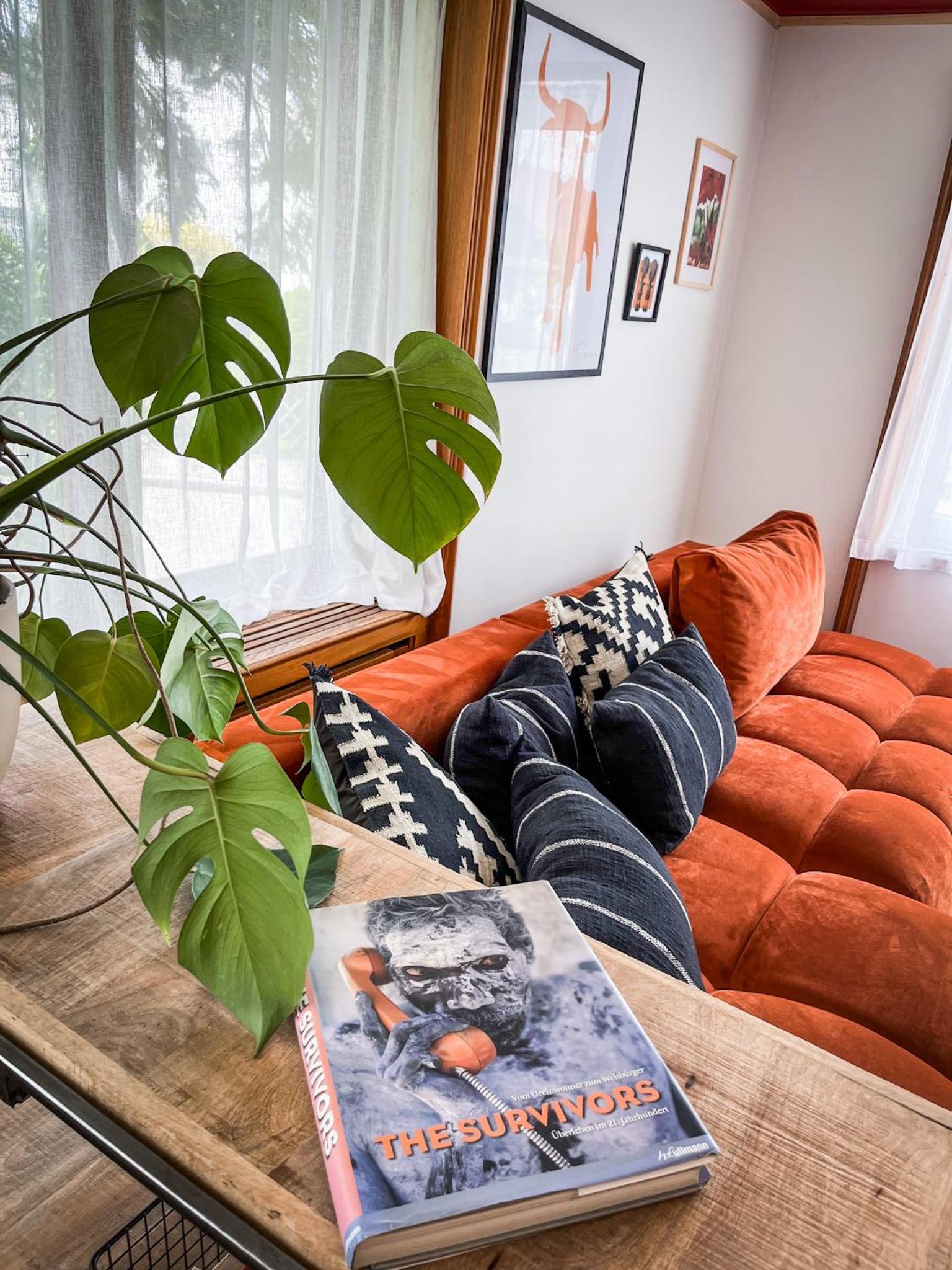 Apartment with Terrace photo 3