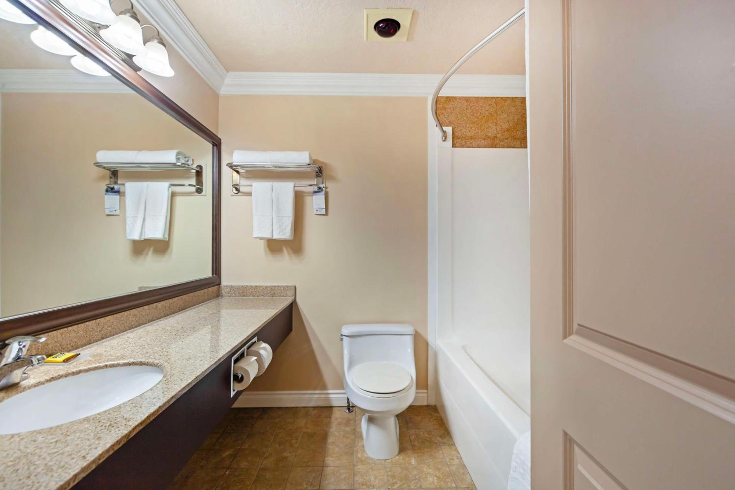Queen Apartment with Sofa Bed and Full Kitchen - Pet Friendly/Non-Smoking - Photo 4