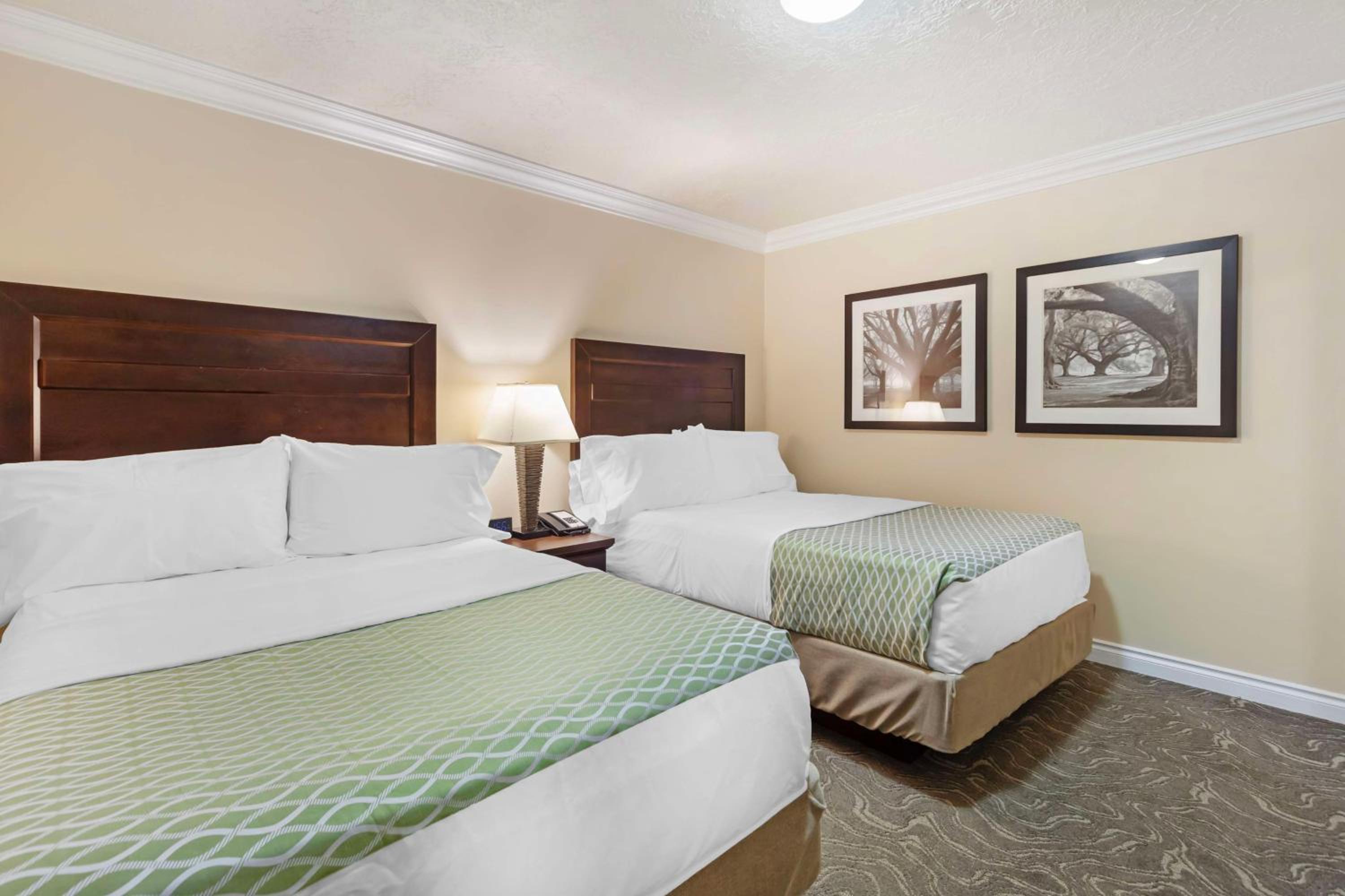 Apartment with One Queen and Two Single Beds - Pet Friendly/Non-Smoking - Photo 2