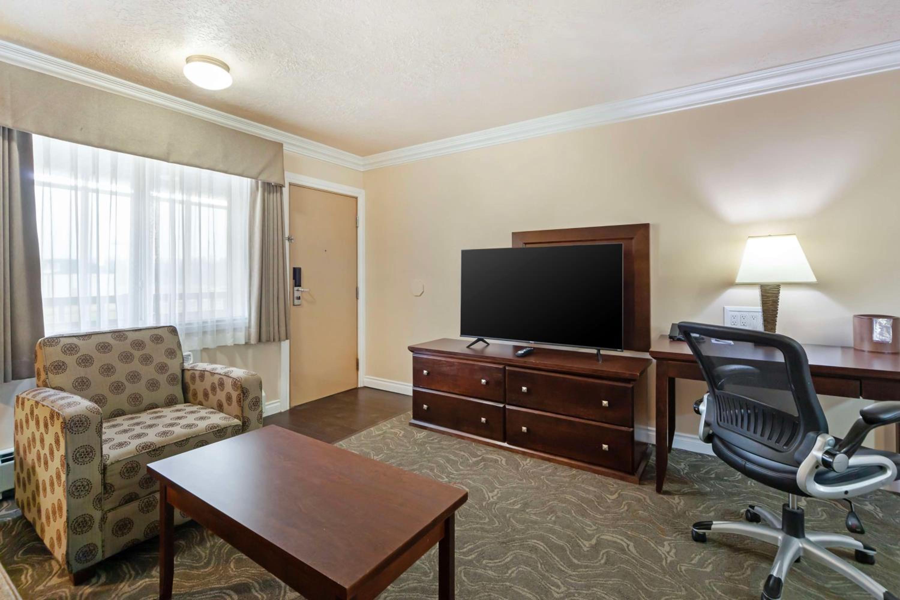 Queen Apartment with Sofa Bed and Full Kitchen - Pet Friendly/Non-Smoking - Photo 5