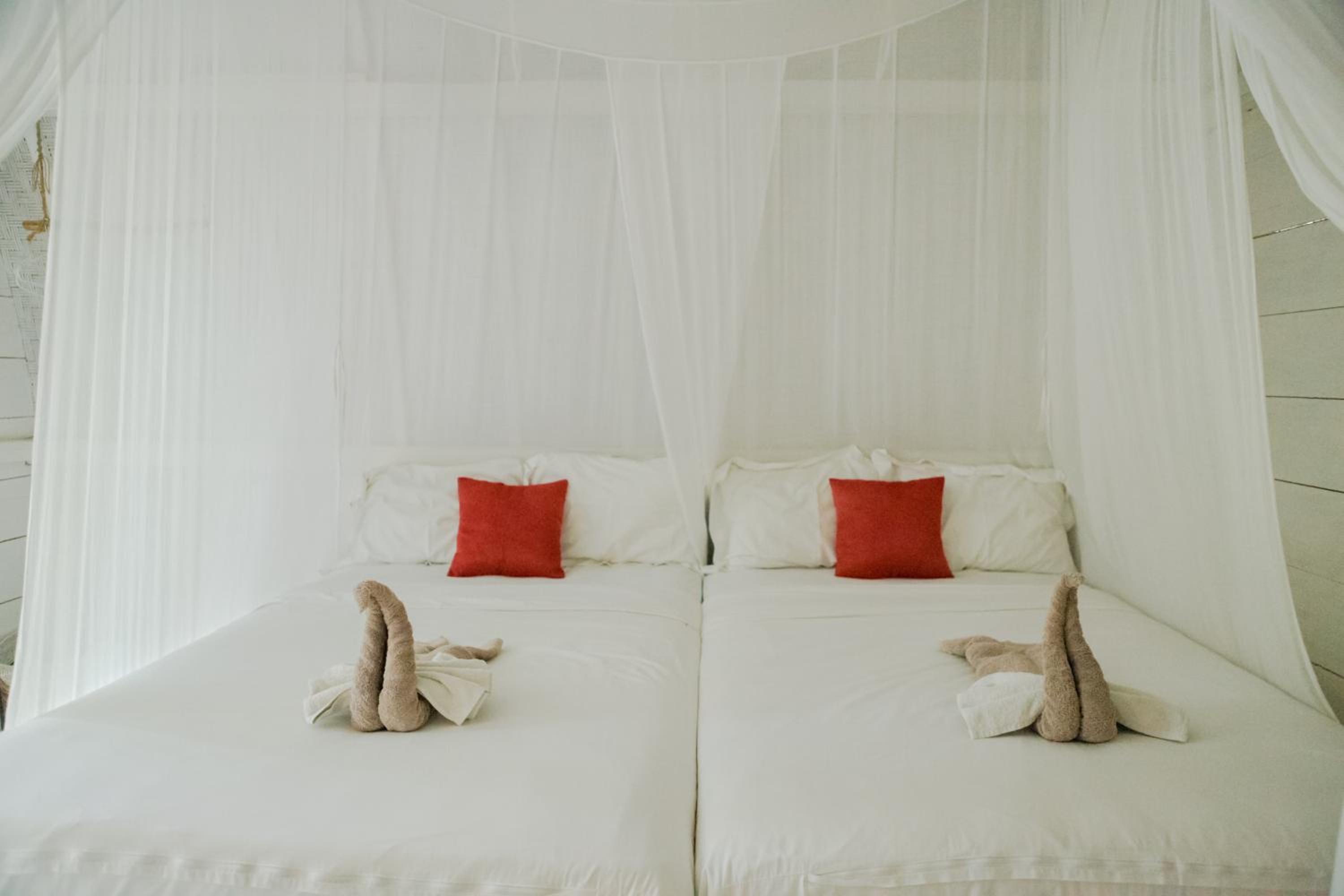 Twin Room - Photo 16