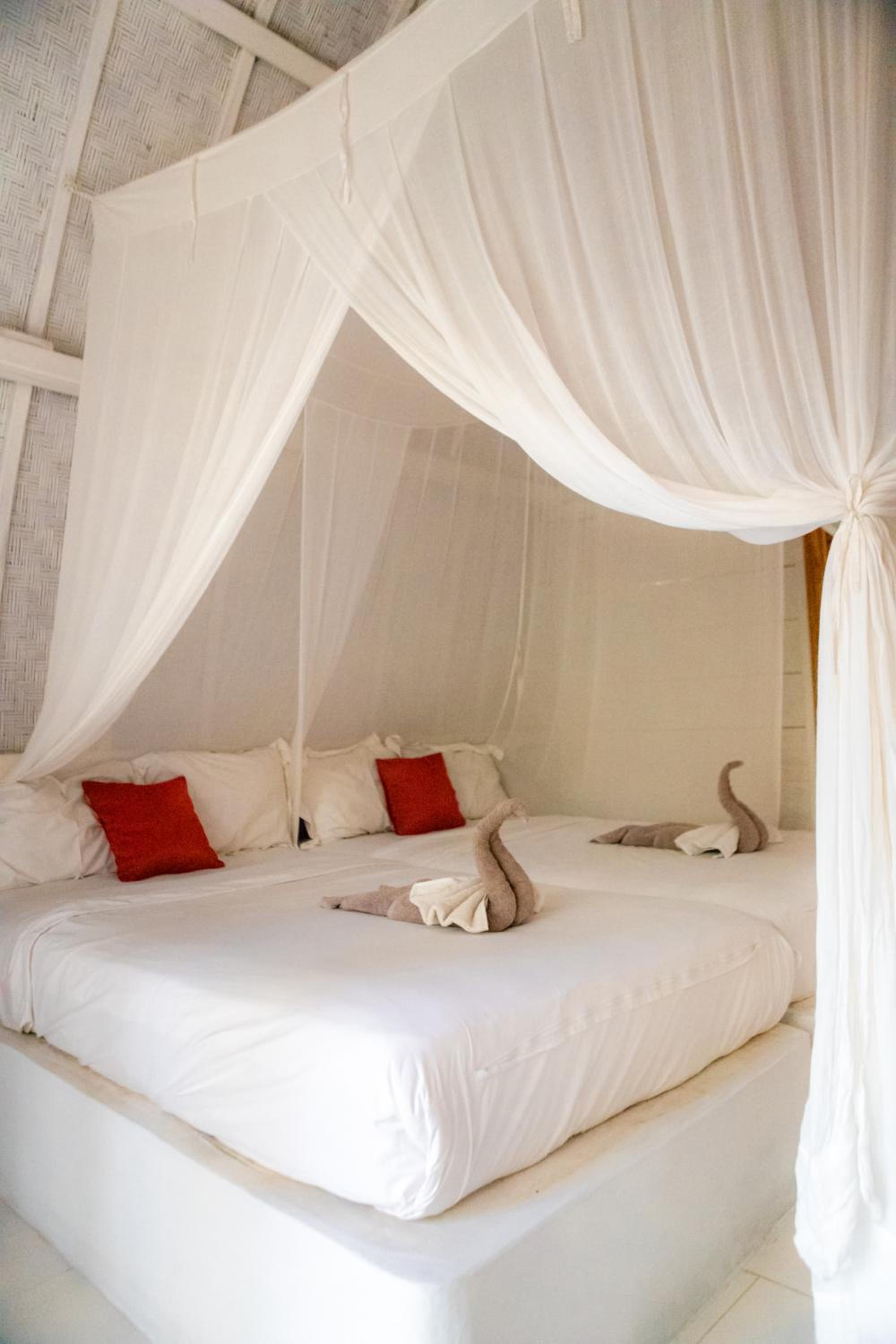 Twin Room - Photo 11