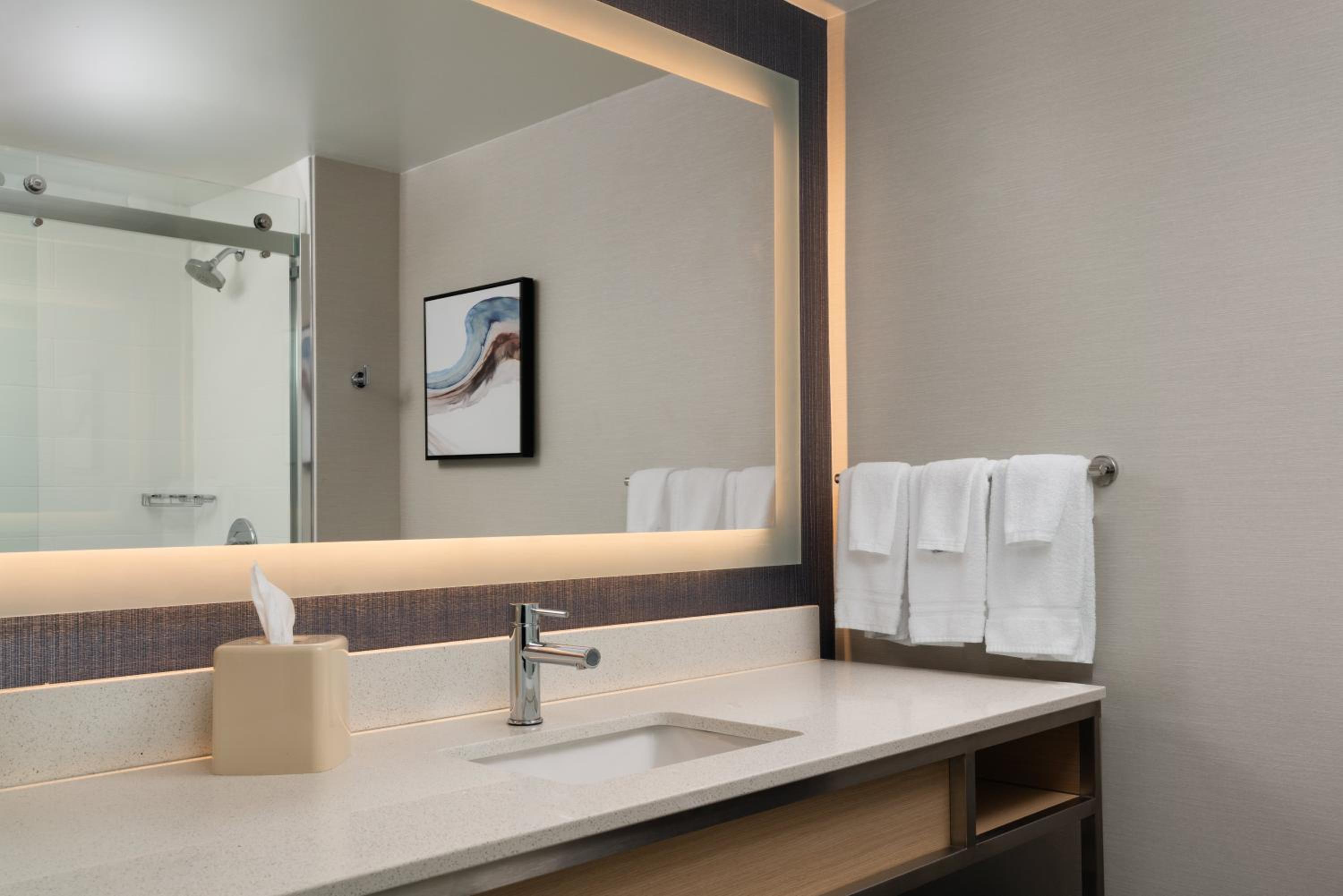 King Room Disability Access Tub