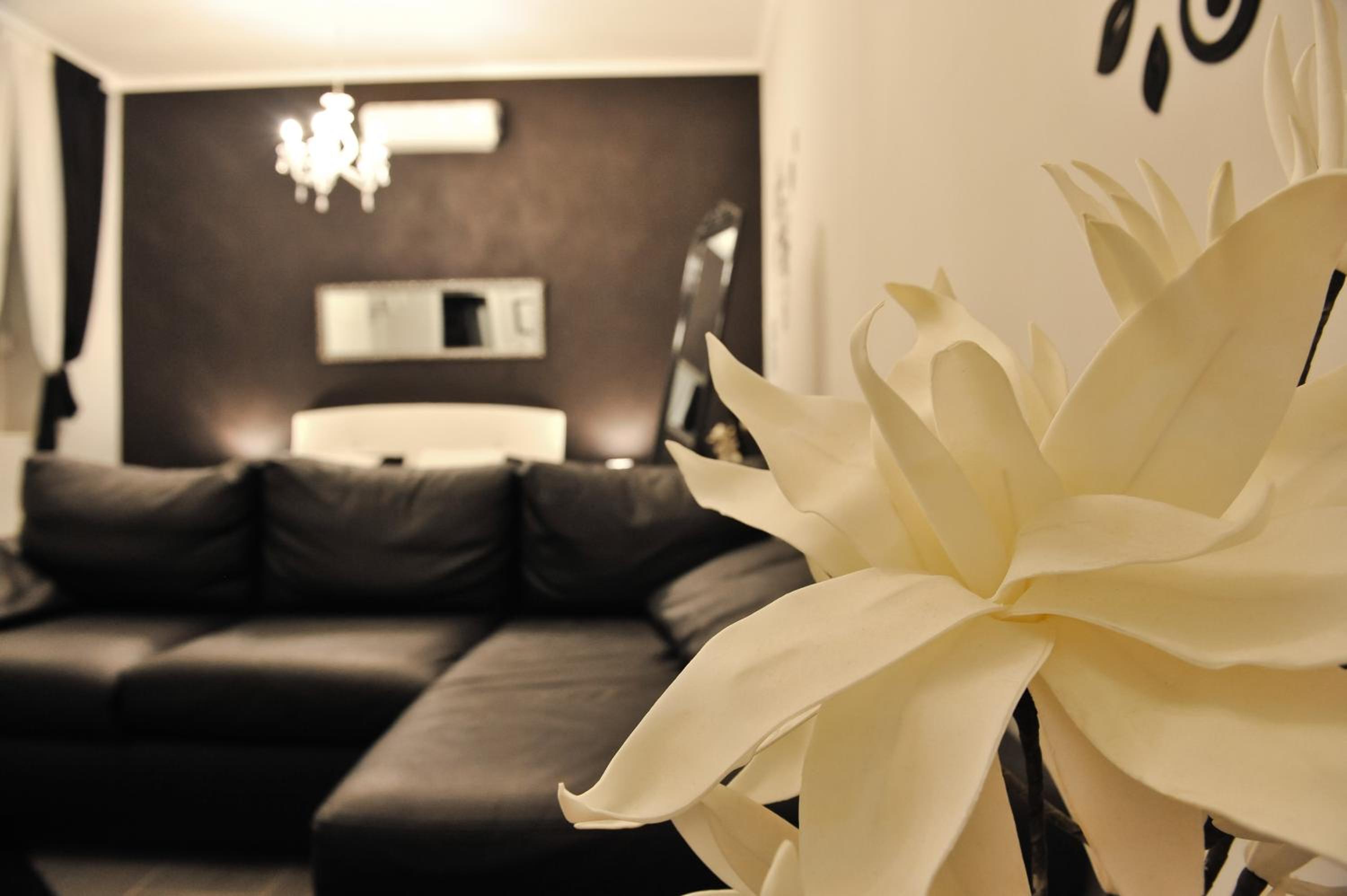 Deluxe Studio
