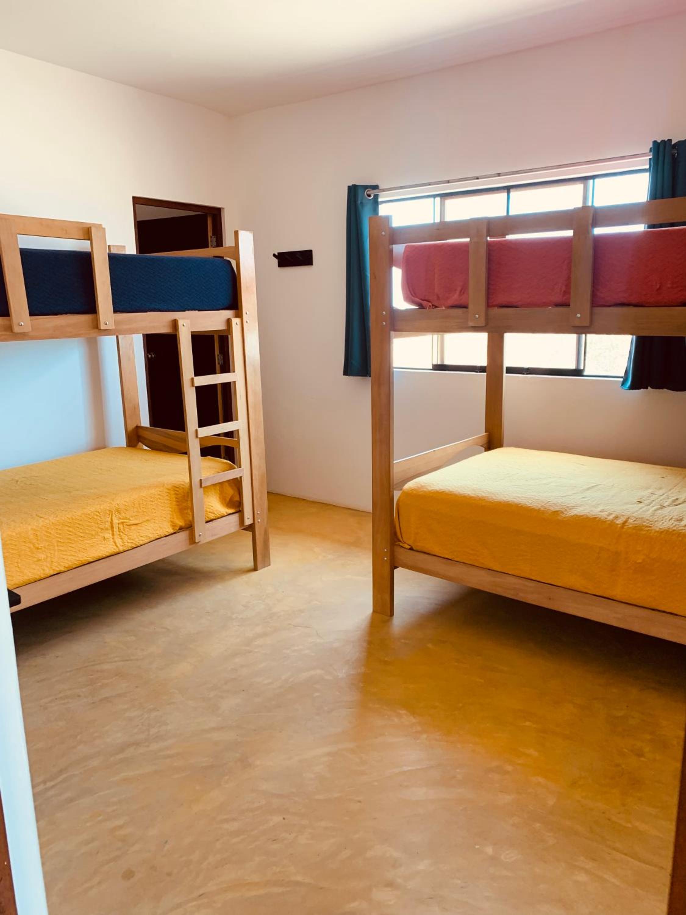 Bed in 4-Bed Dormitory Room photo 2