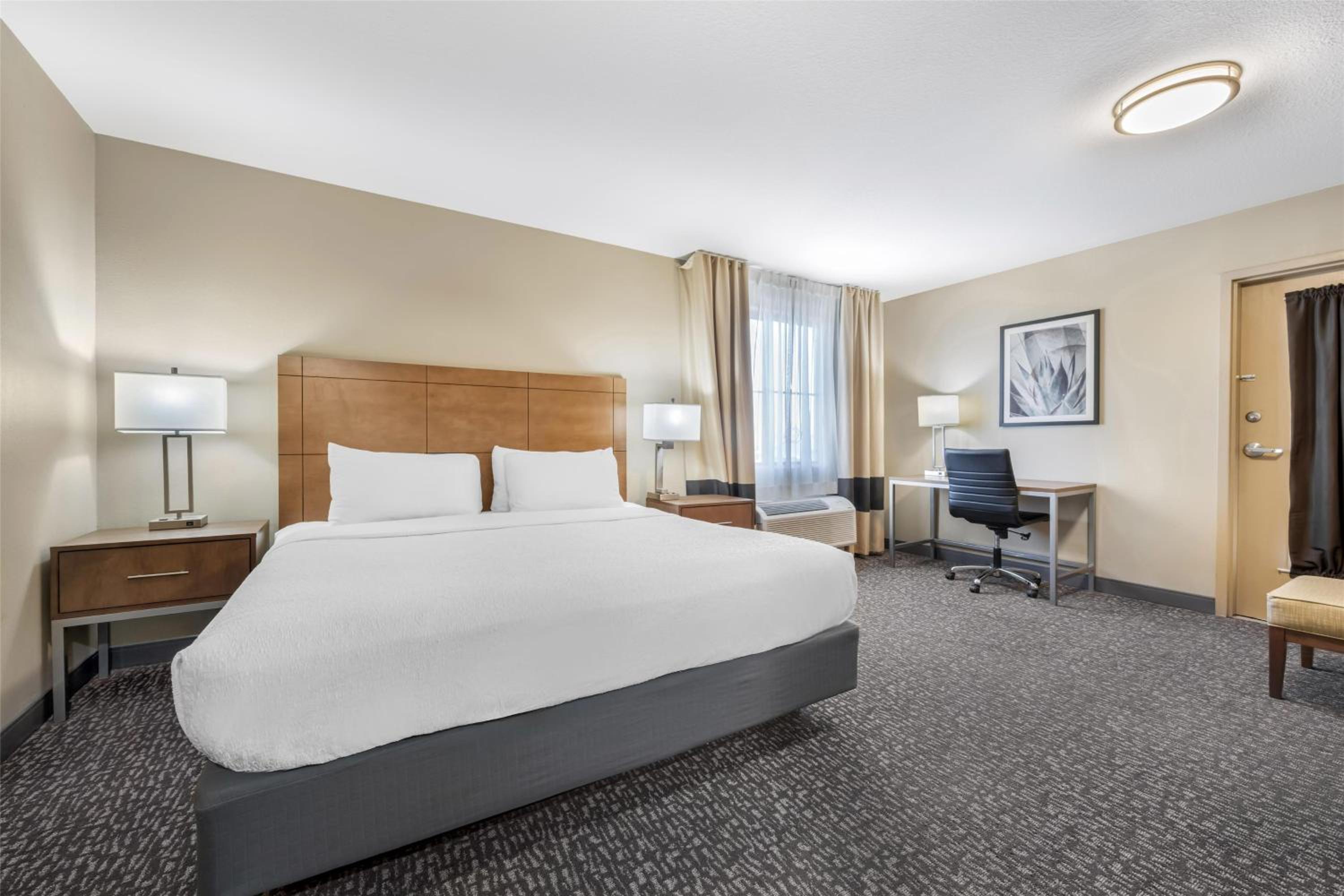 Large King Suite - Non-Smoking - Photo 1