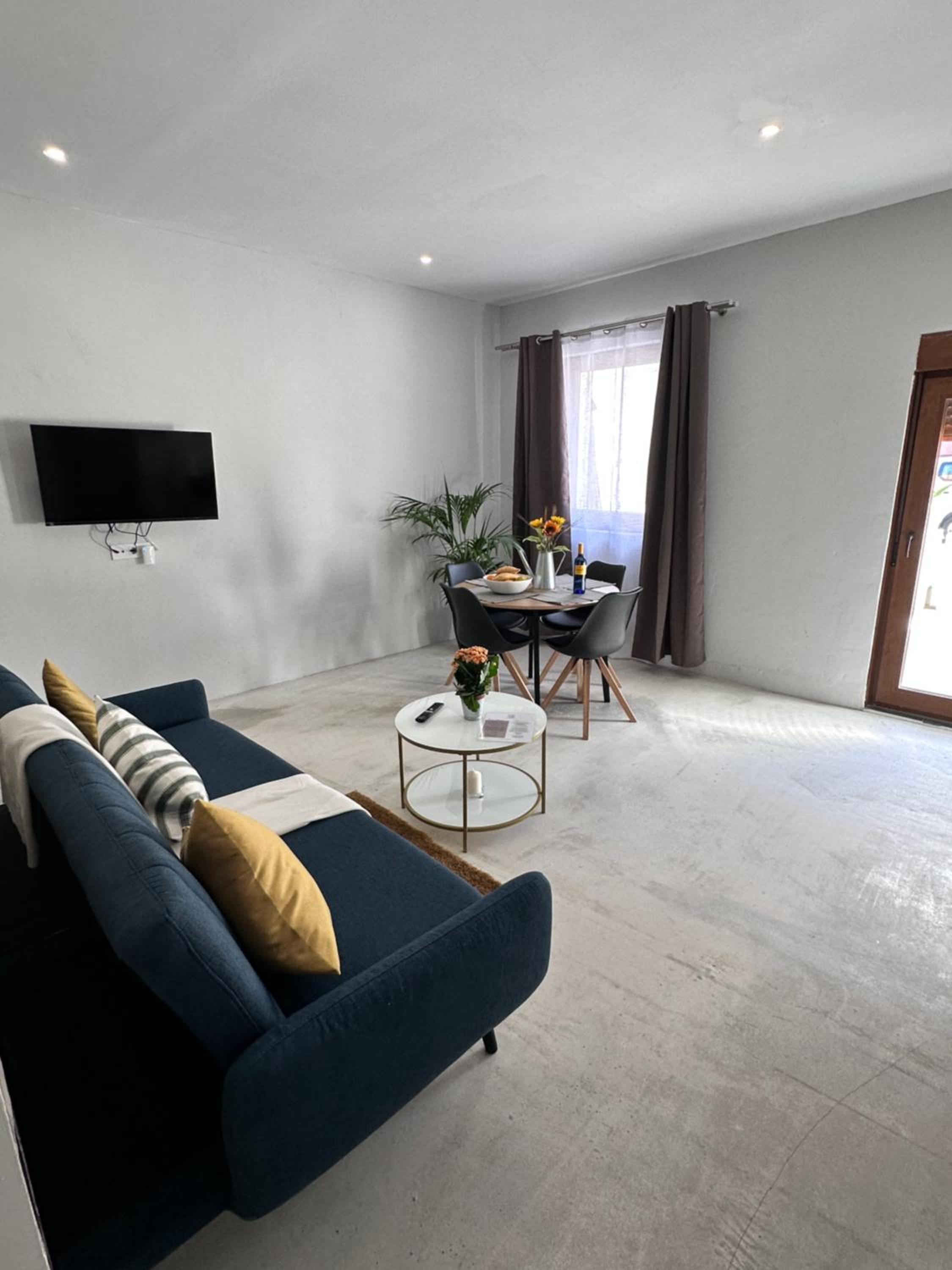 Deluxe One-Bedroom Apartment