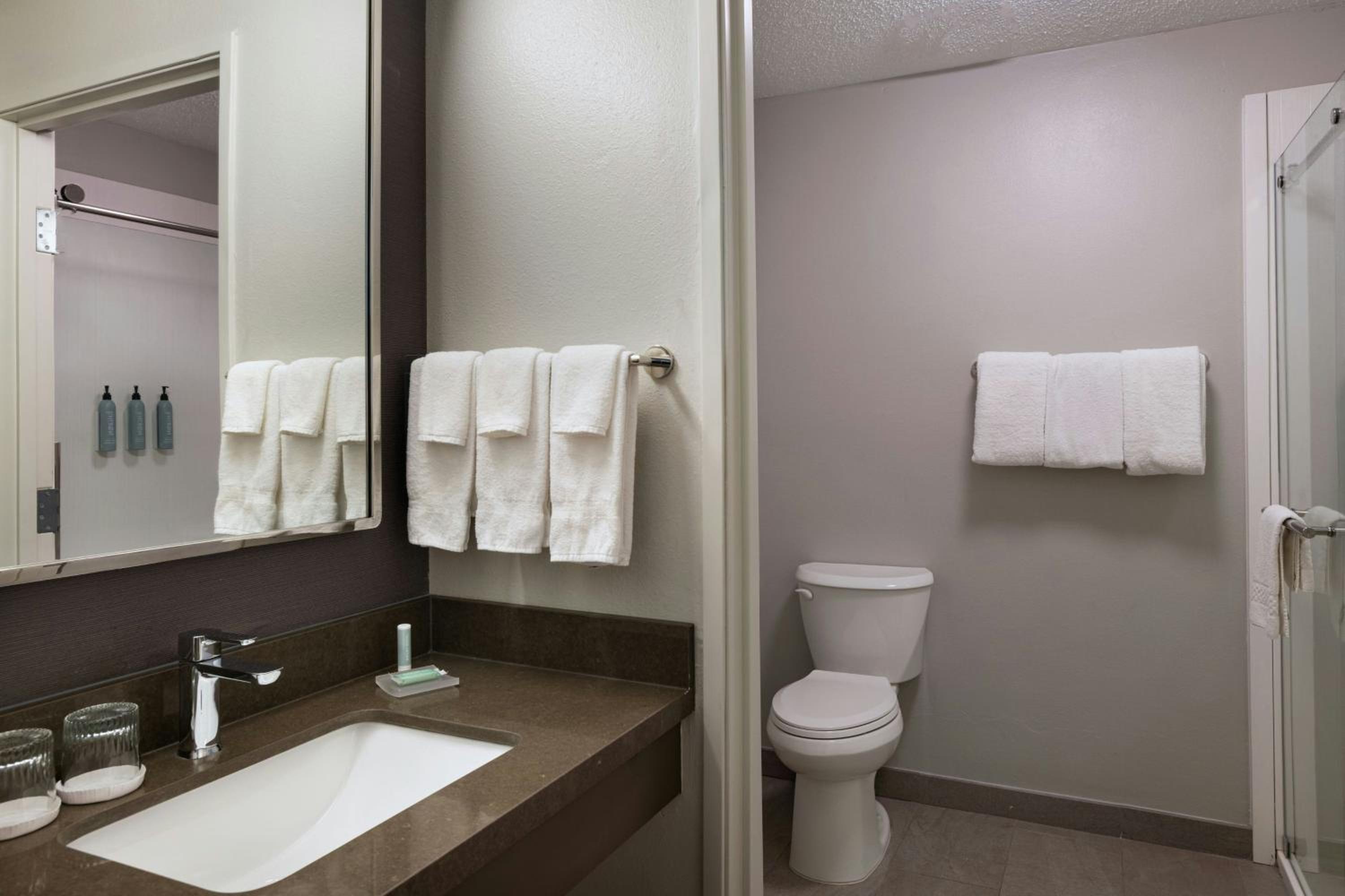 Executive King Suite with Sofa Bed - Mobility/Hearing Accessible with Tub photo 3
