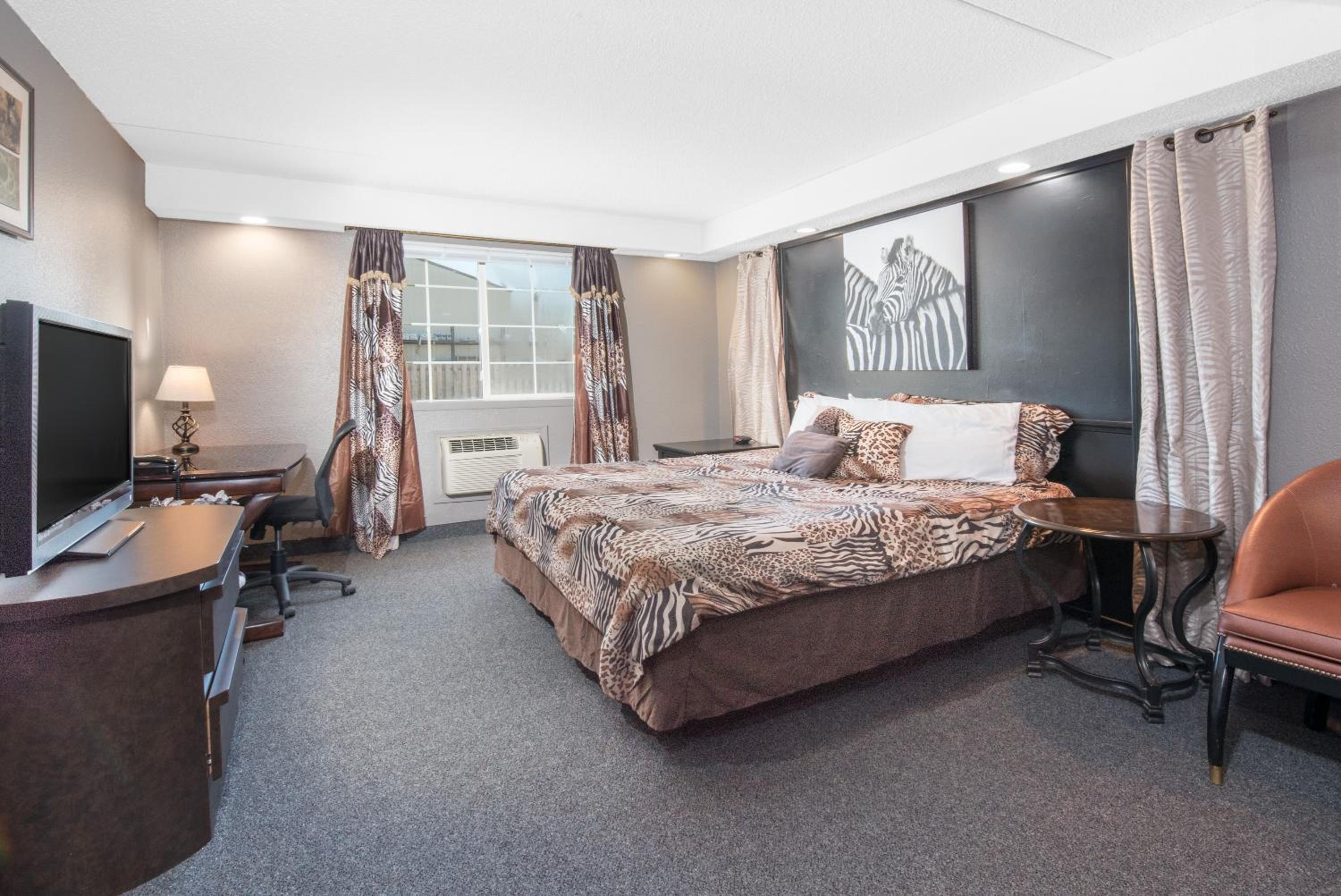 Deluxe King Suite - Photo 4