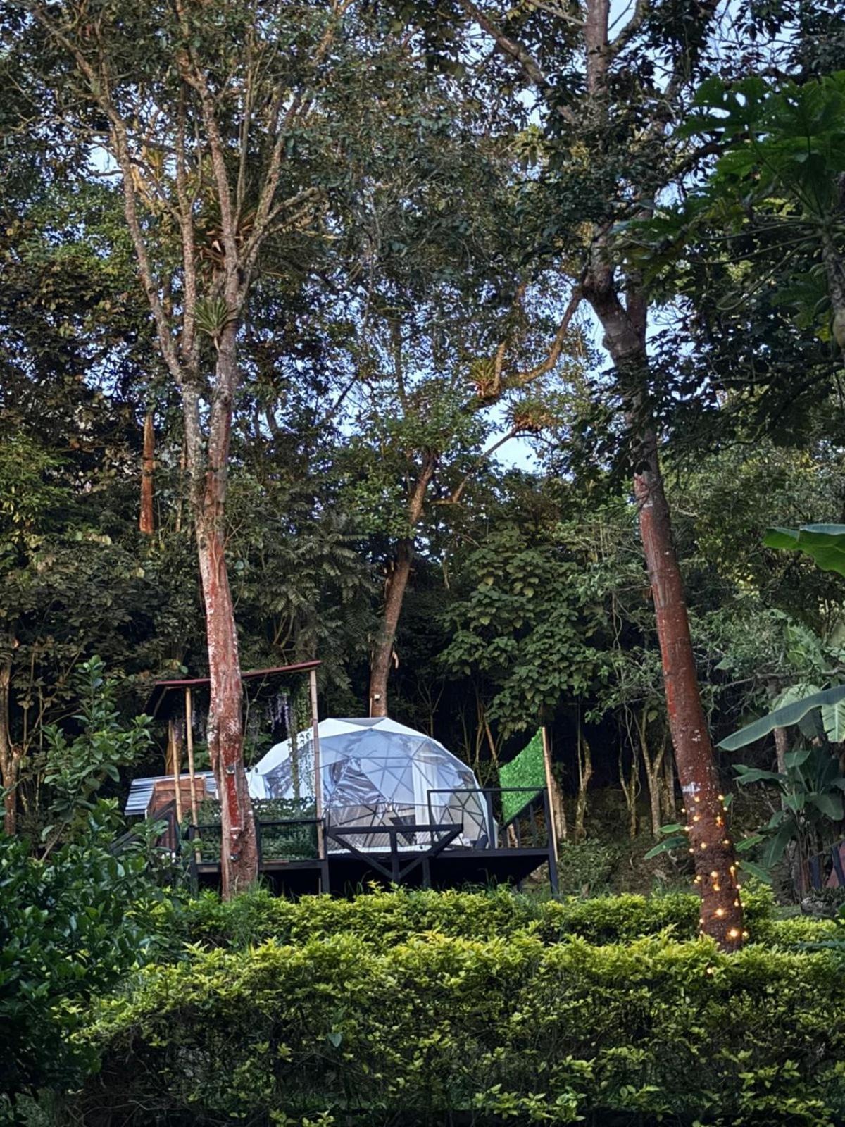 Tent photo 2