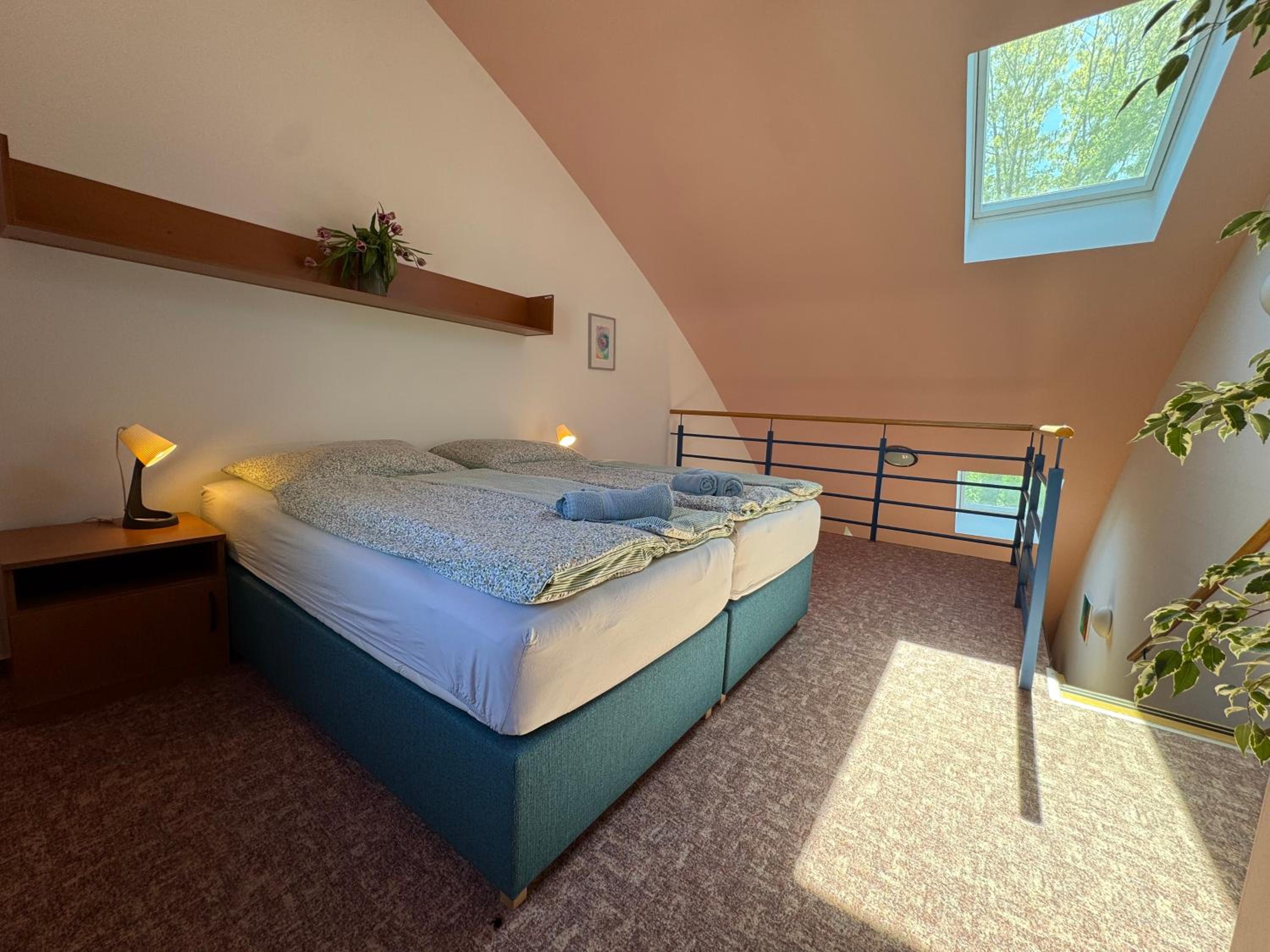 Double or Twin Room photo 3