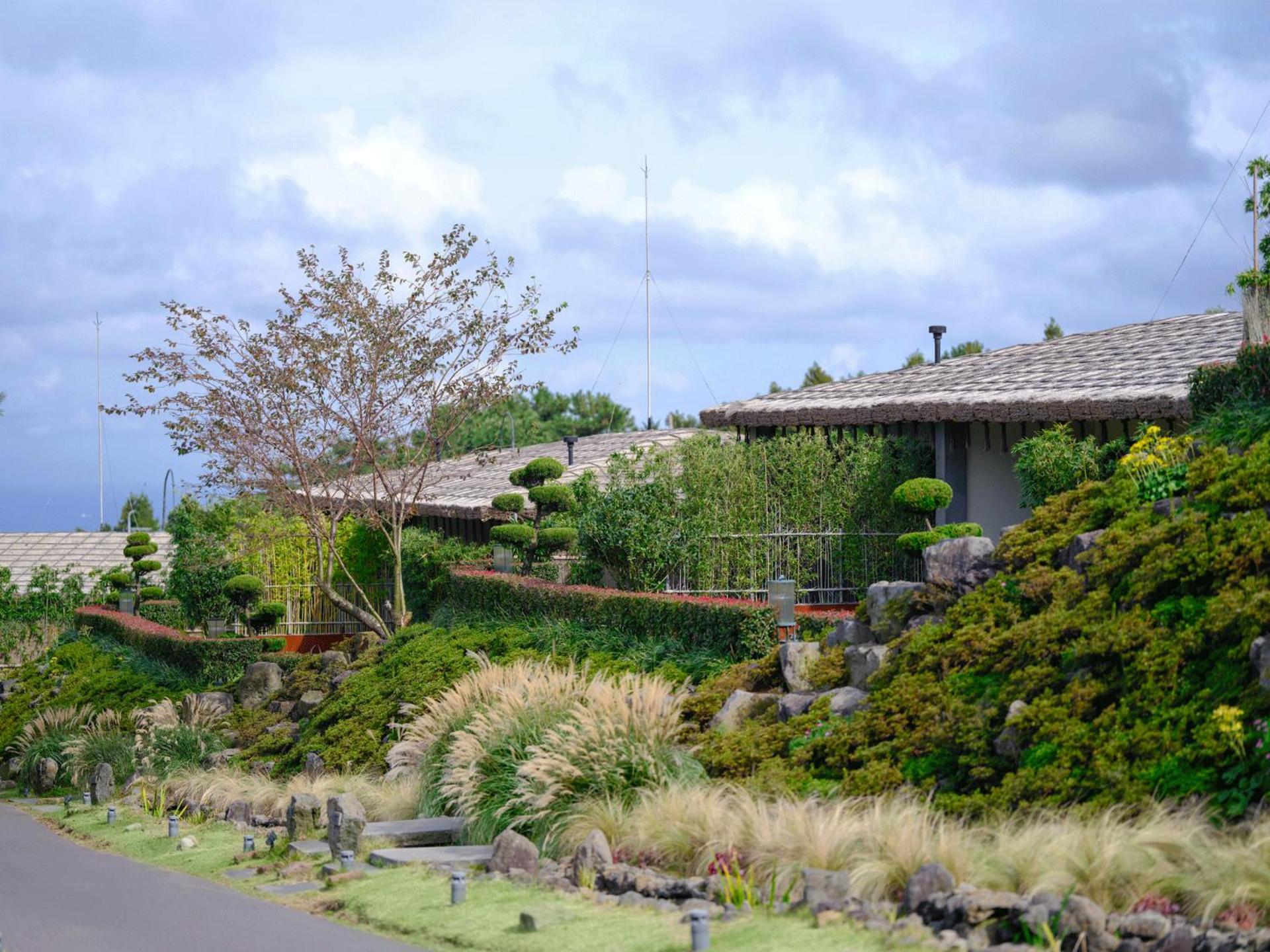 [24hr stay, 7pm check-in & check-out] Forest Garden Double with Private Jacuzzi  - Photo 9