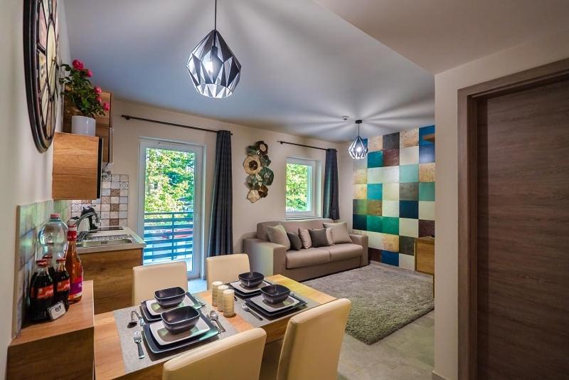 Superior One-Bedroom Apartment with Balcony photo 1