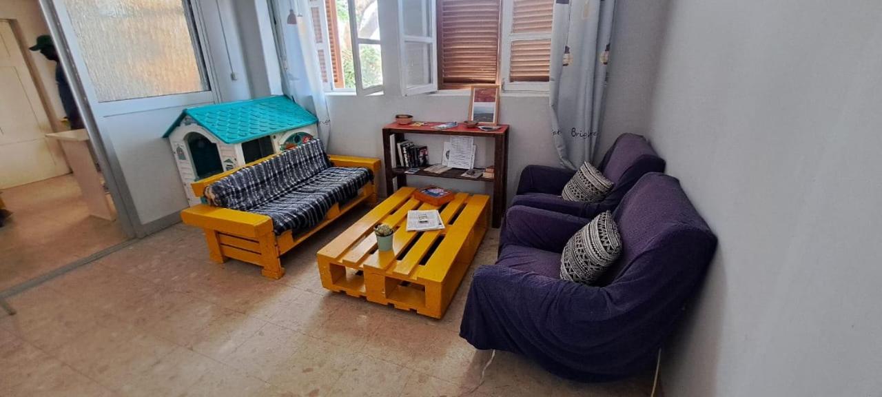 Single Bed in Mixed Dormitory Room photo 2