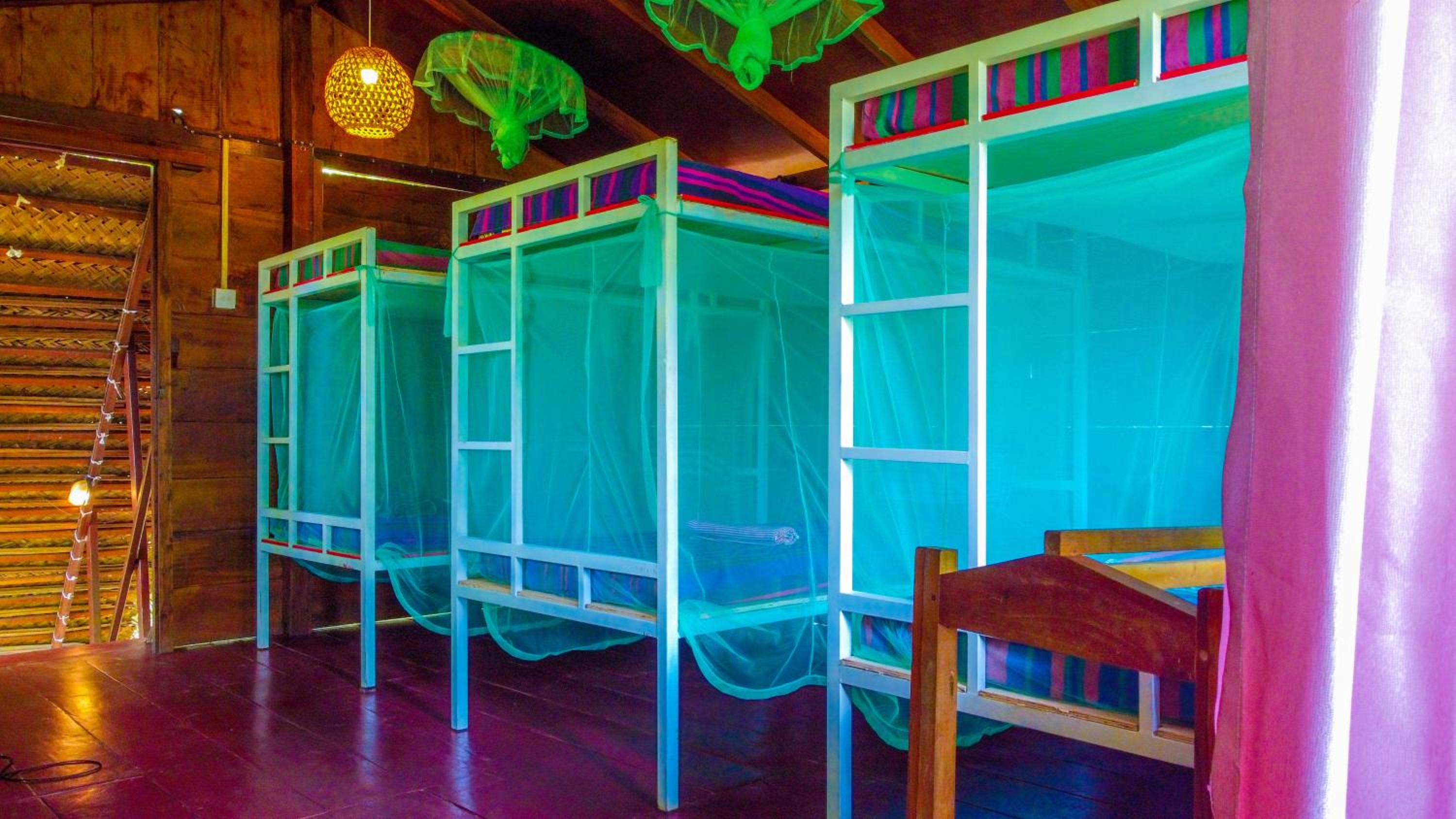 6-Bed Female Dormitory Room photo 1